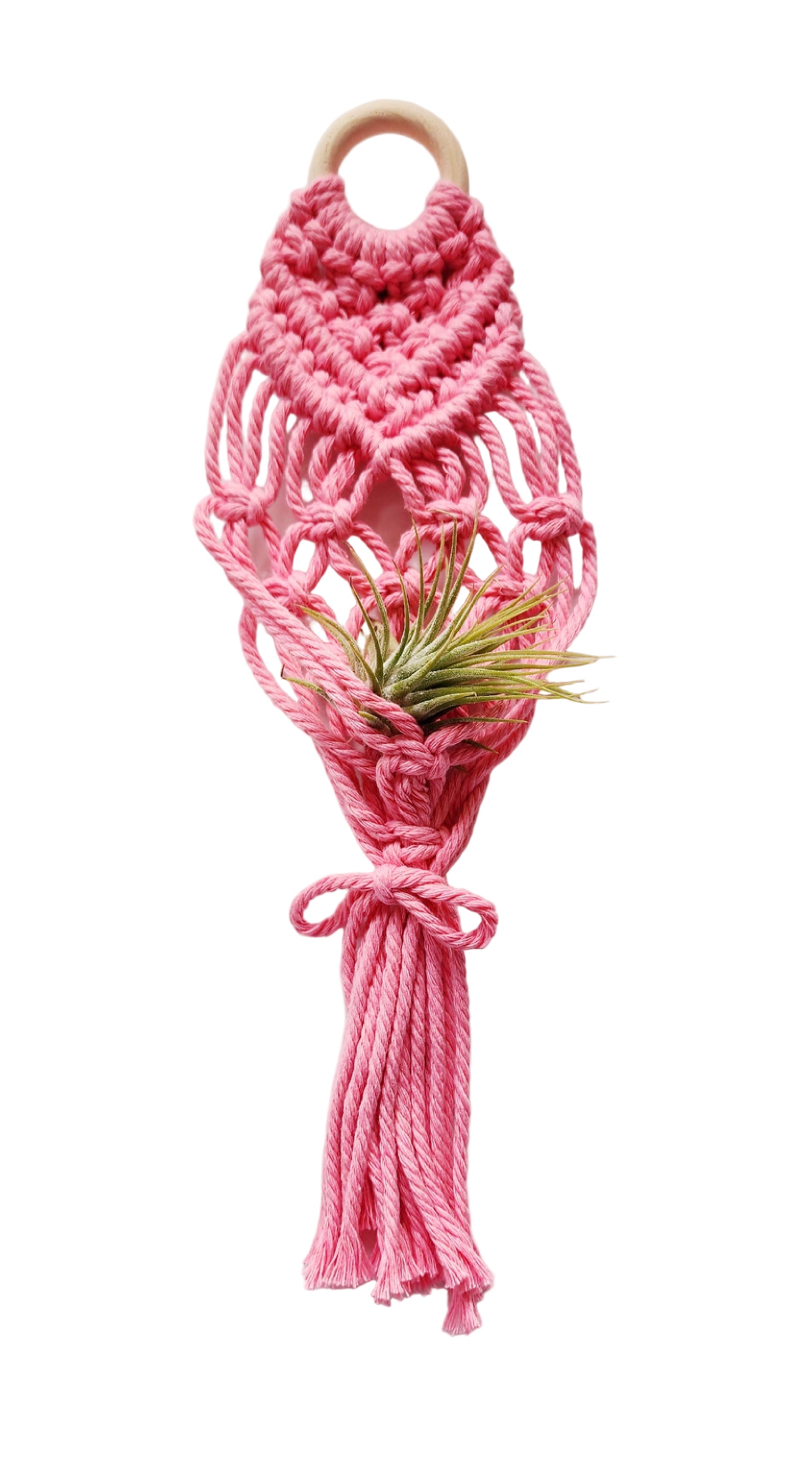 Mini Air Plant Hanger: Watermelon Pink - Urban Sprouts