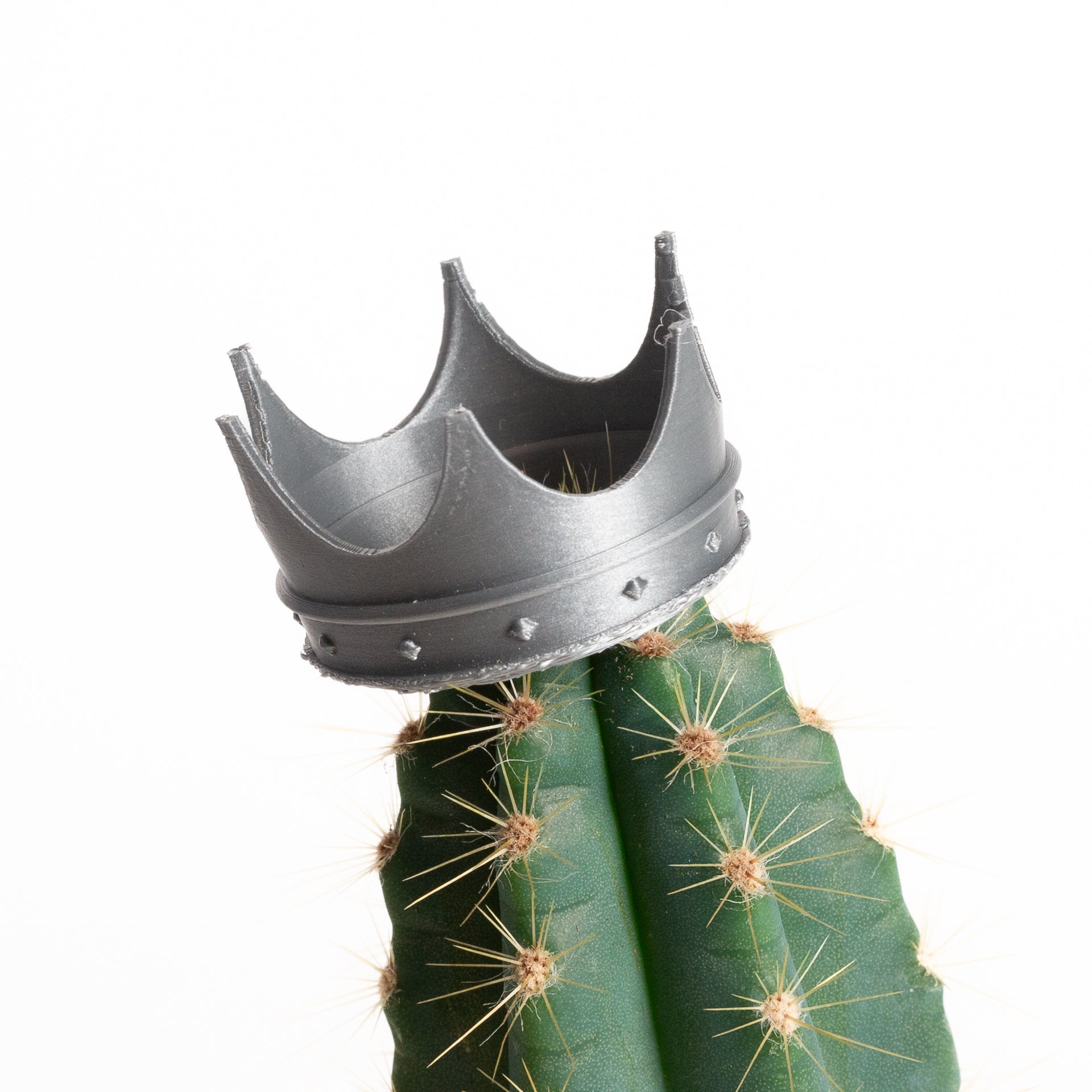 Mini Crown - Asst. - Urban Sprouts