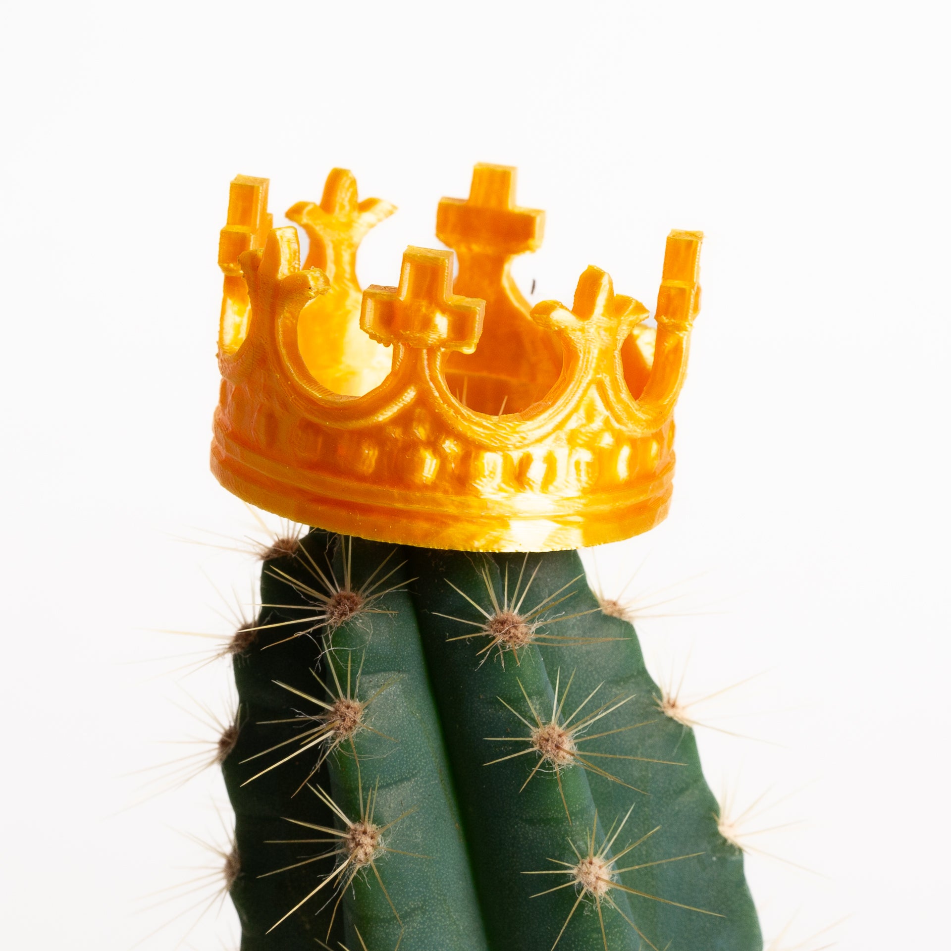 Mini Crown - Asst. - Urban Sprouts