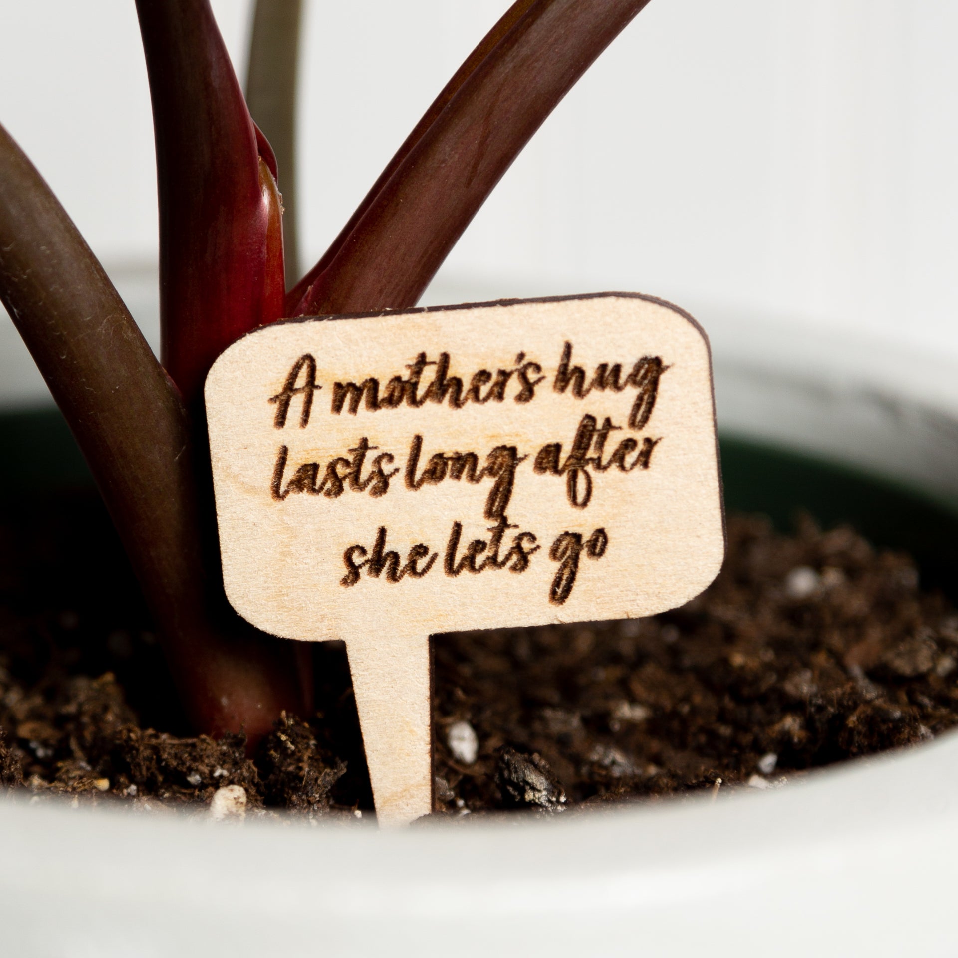 Mini Sign - A Mother's Hug - Urban Sprouts