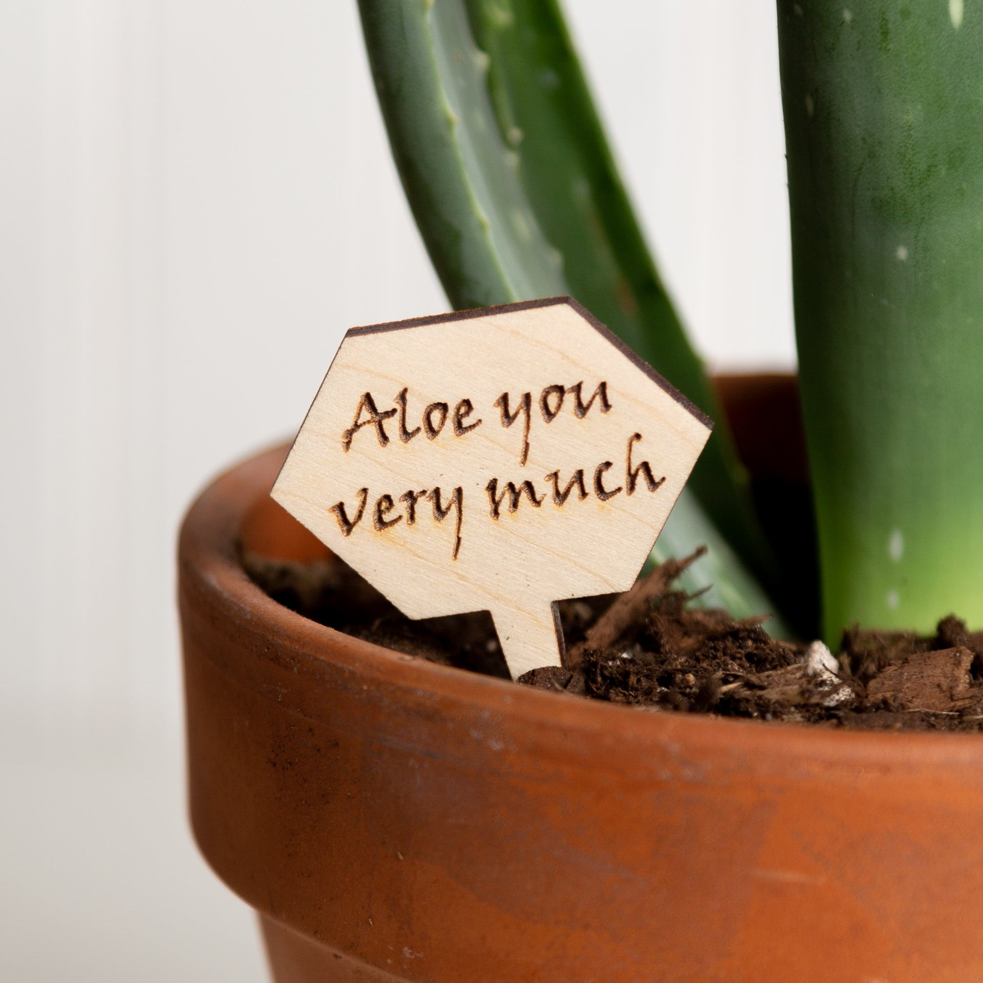 Mini Sign - Aloe you very much - Urban Sprouts