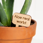 Mini Sign - Aloe real world - Urban Sprouts