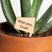 Mini Sign - Aloe you, Grad - Urban Sprouts