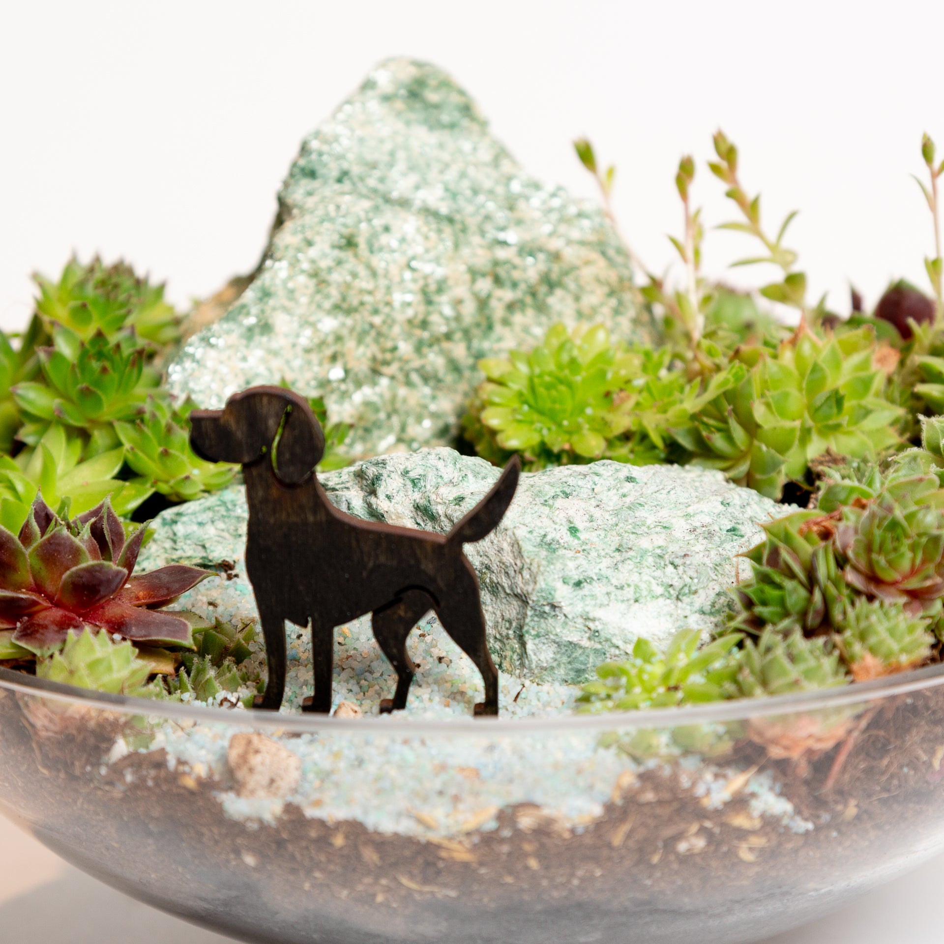 Mini Sign - Beagle - Urban Sprouts