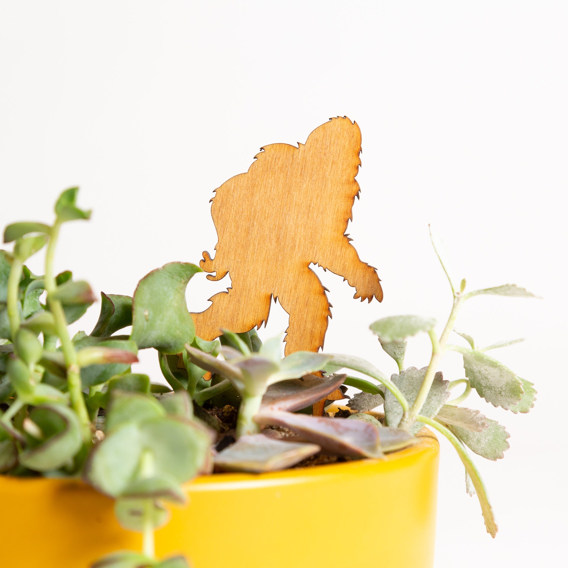 Mini Sign - Bigfoot - Urban Sprouts