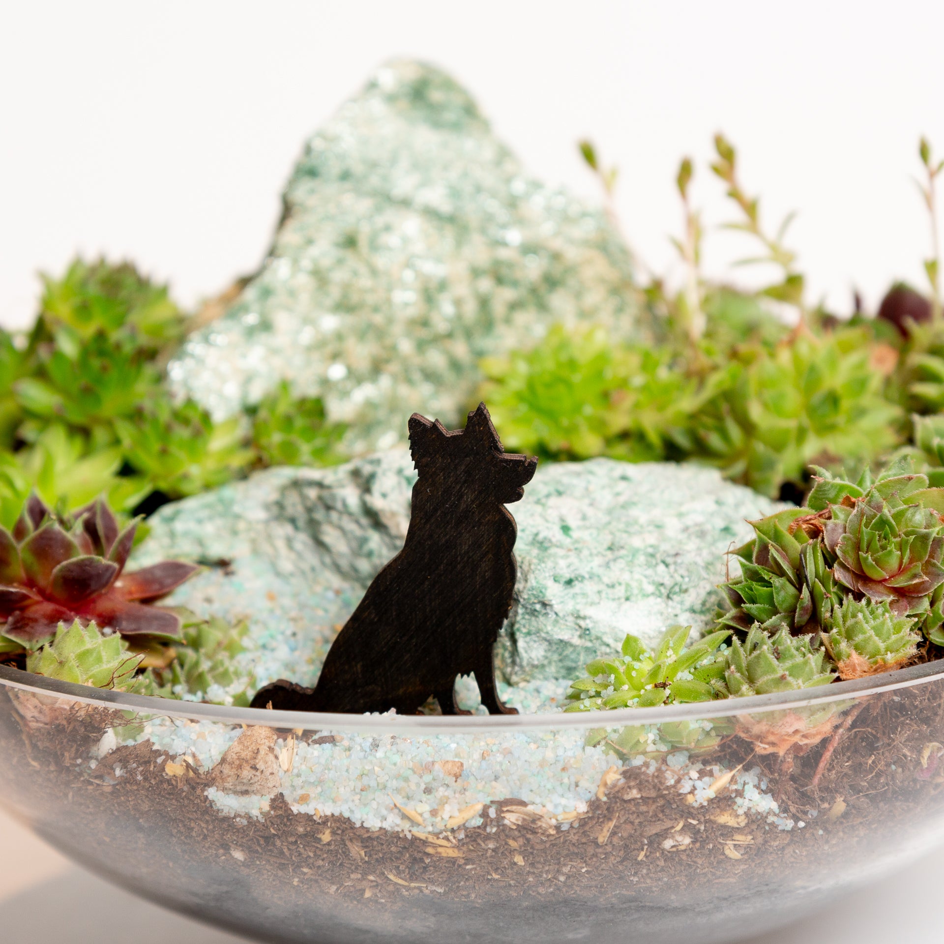 Mini Sign - Border Collie - Urban Sprouts