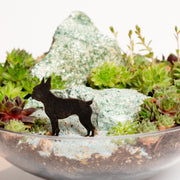 Mini Sign - Boston Terrier - Urban Sprouts