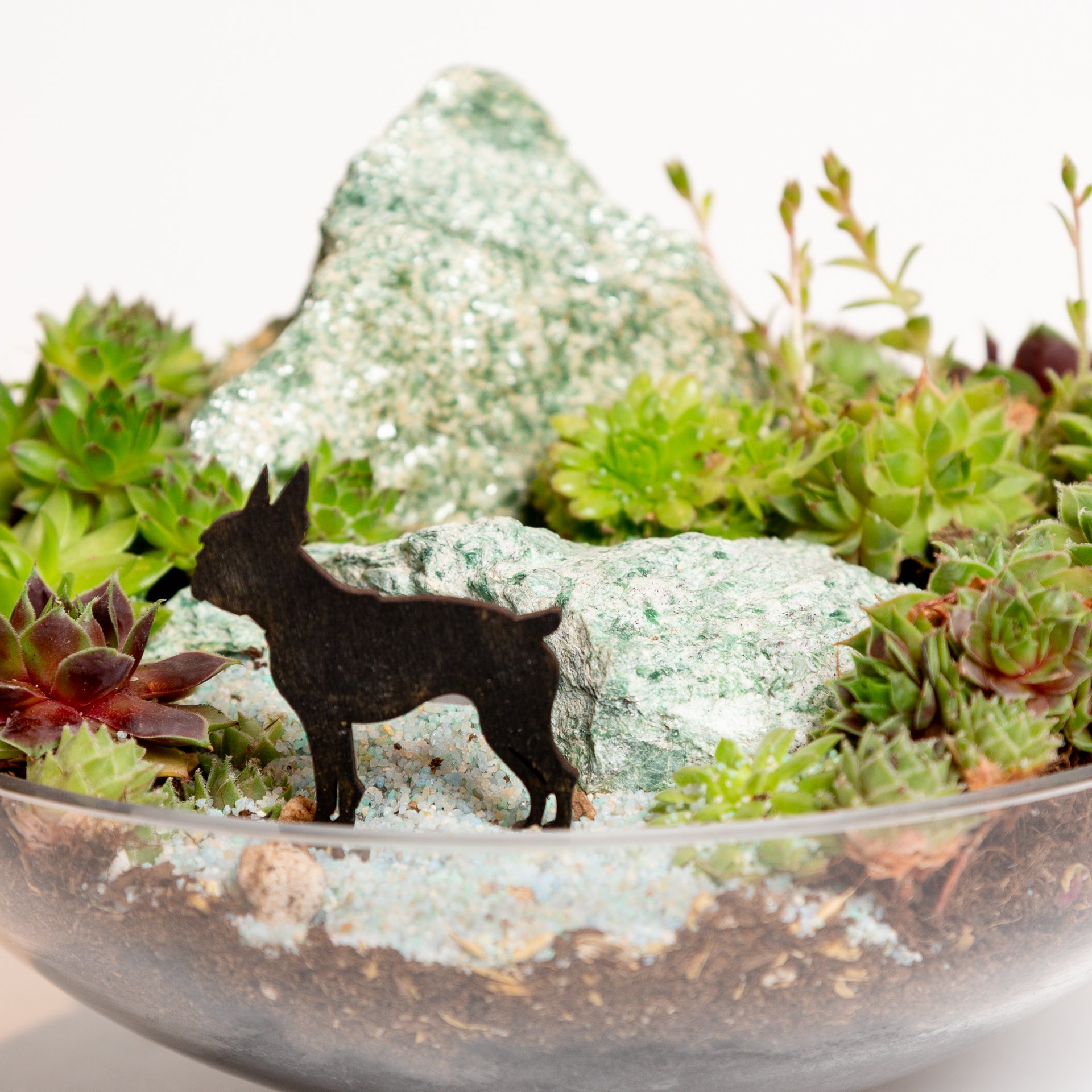 Mini Sign - Boston Terrier - Urban Sprouts