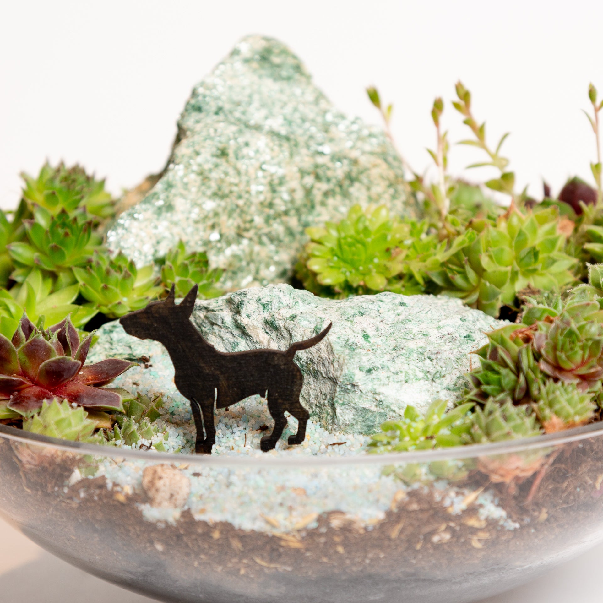 Mini Sign - Bull Terrier - Urban Sprouts