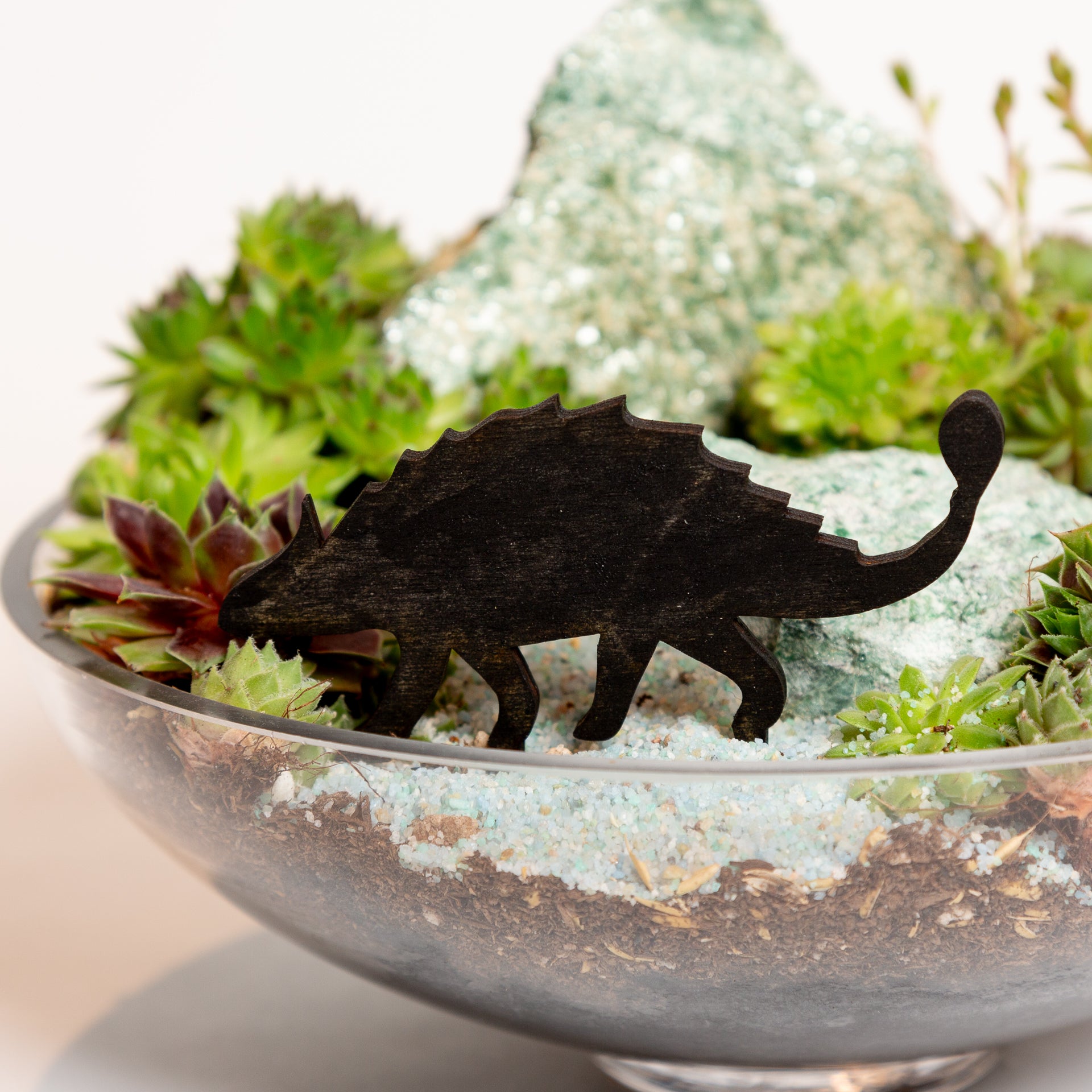 Mini Sign - Club Tail Dinosaur - Urban Sprouts