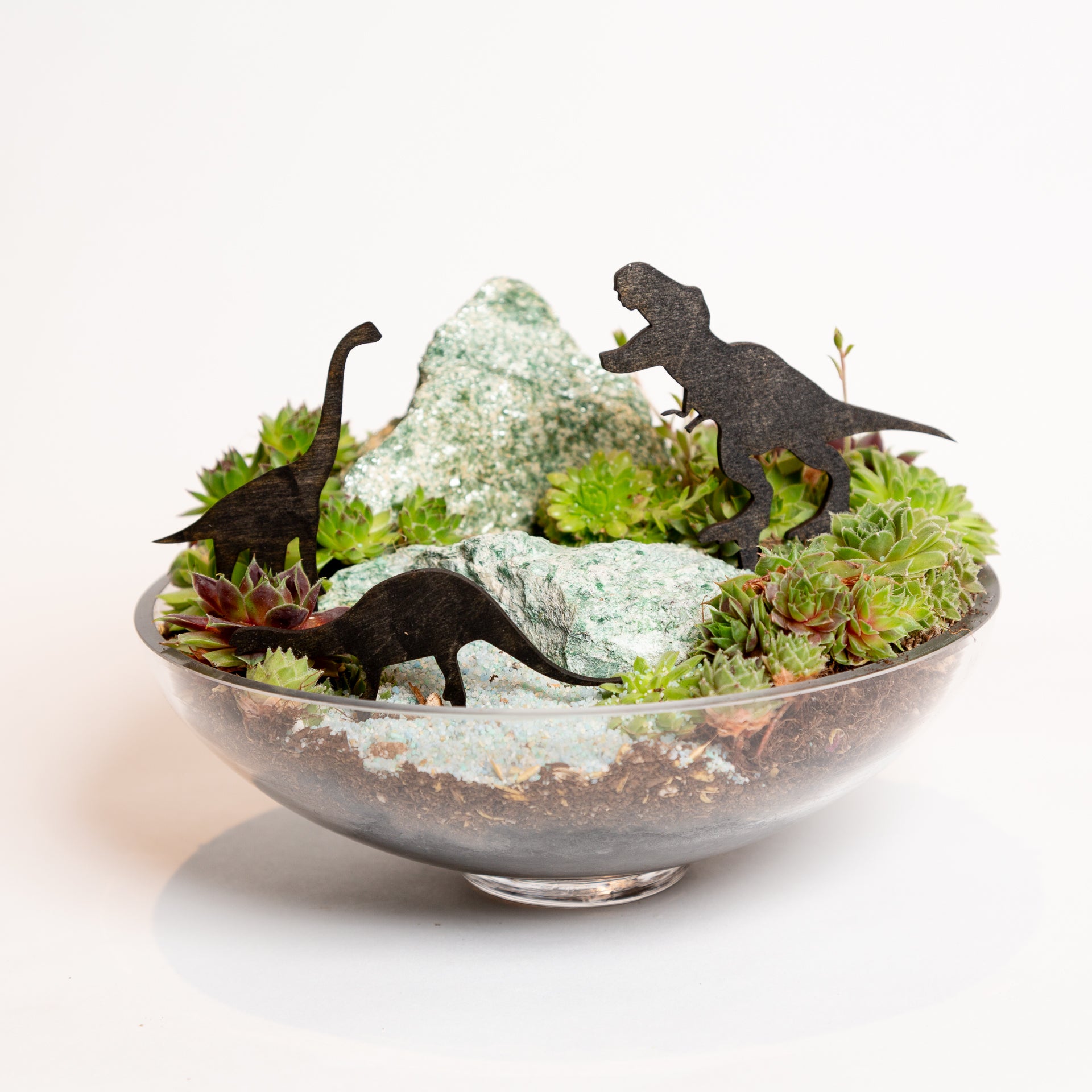 Mini Sign - Club Tail Dinosaur - Urban Sprouts