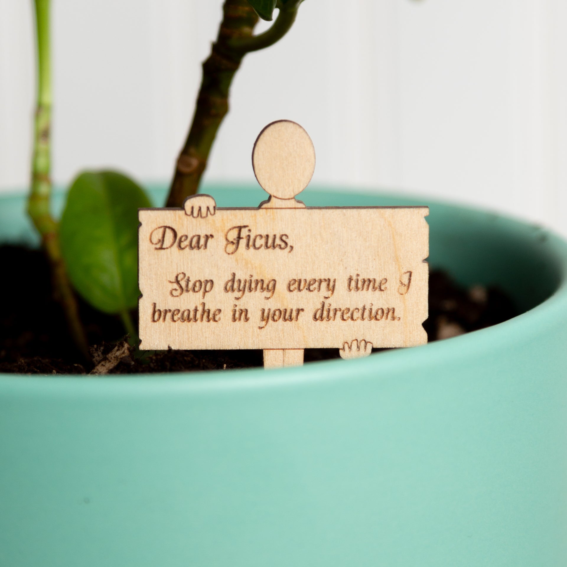 Mini Sign -Dear Ficus - Urban Sprouts