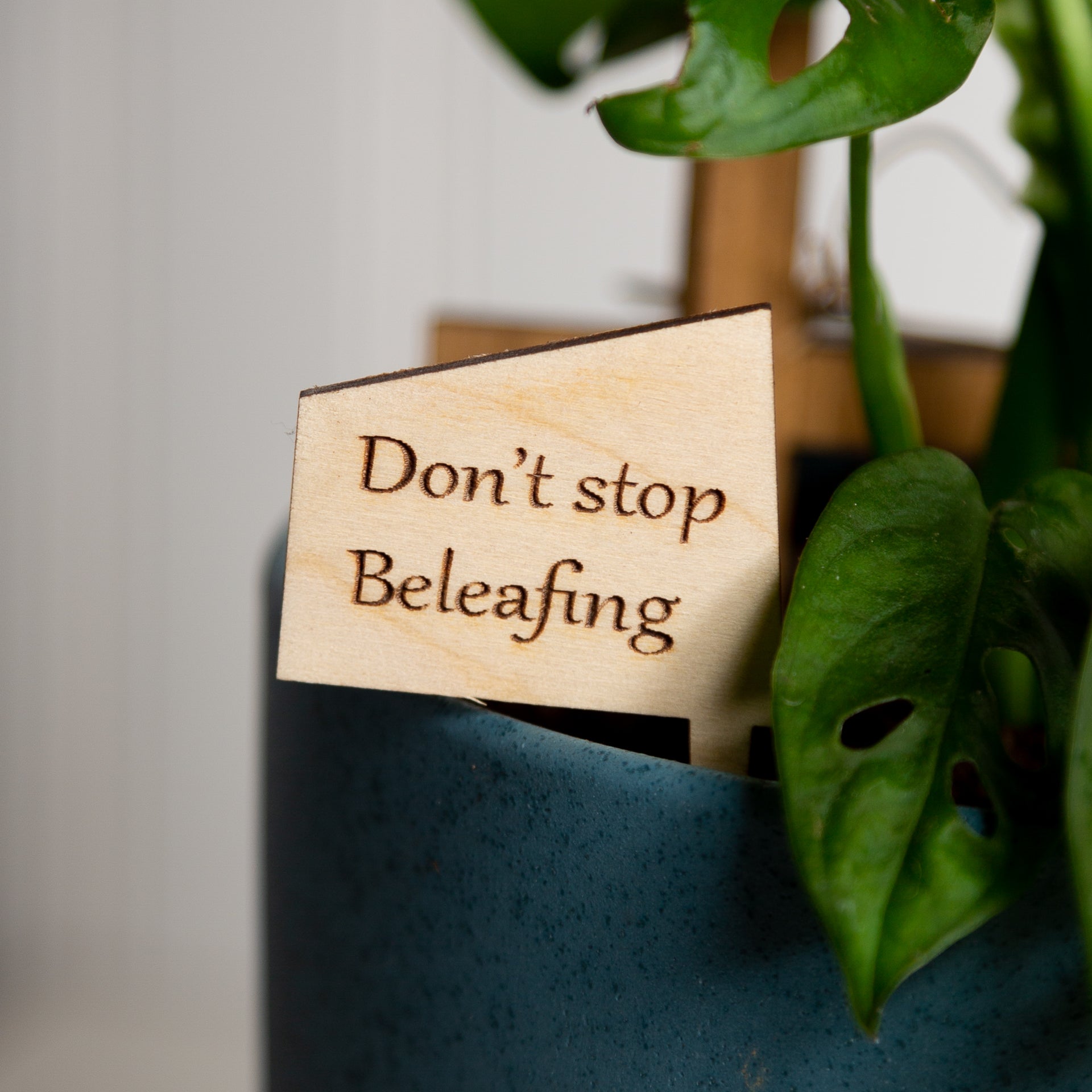 Mini Sign - Don't stop beleafing - Urban Sprouts