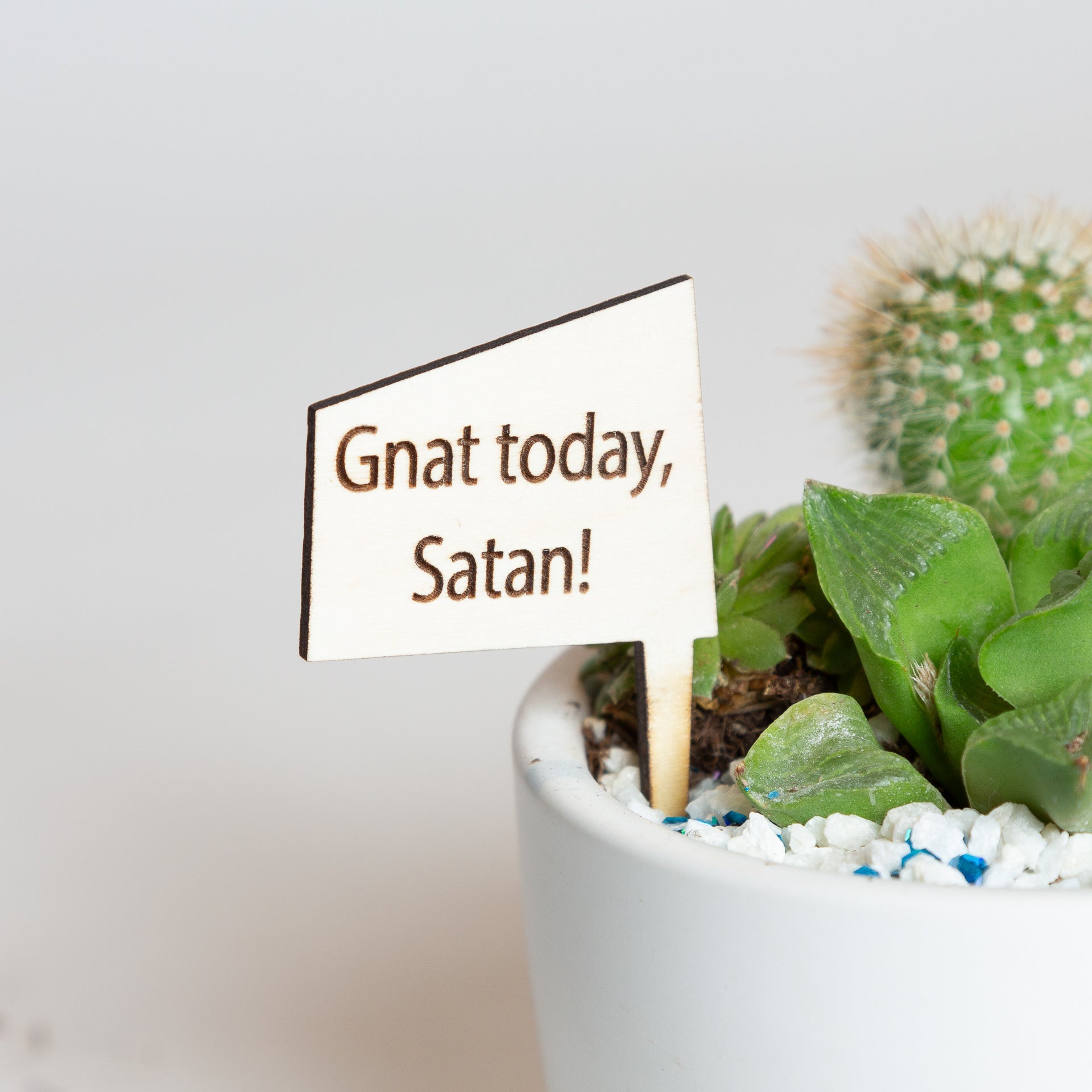 Mini Sign - Gnat today, Satan! - Urban Sprouts