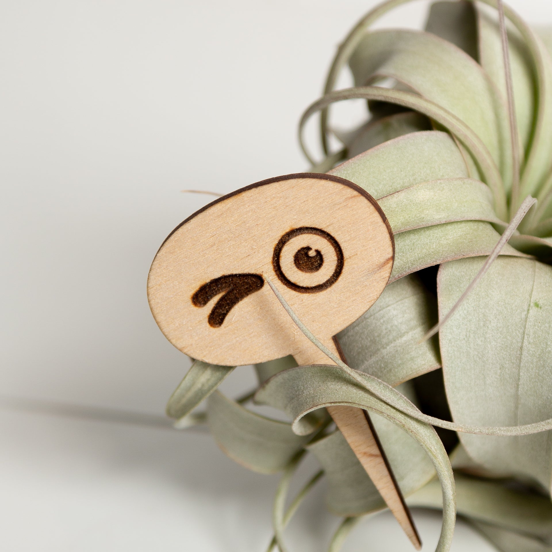 Mini Sign - Googly eyes wink - Urban Sprouts
