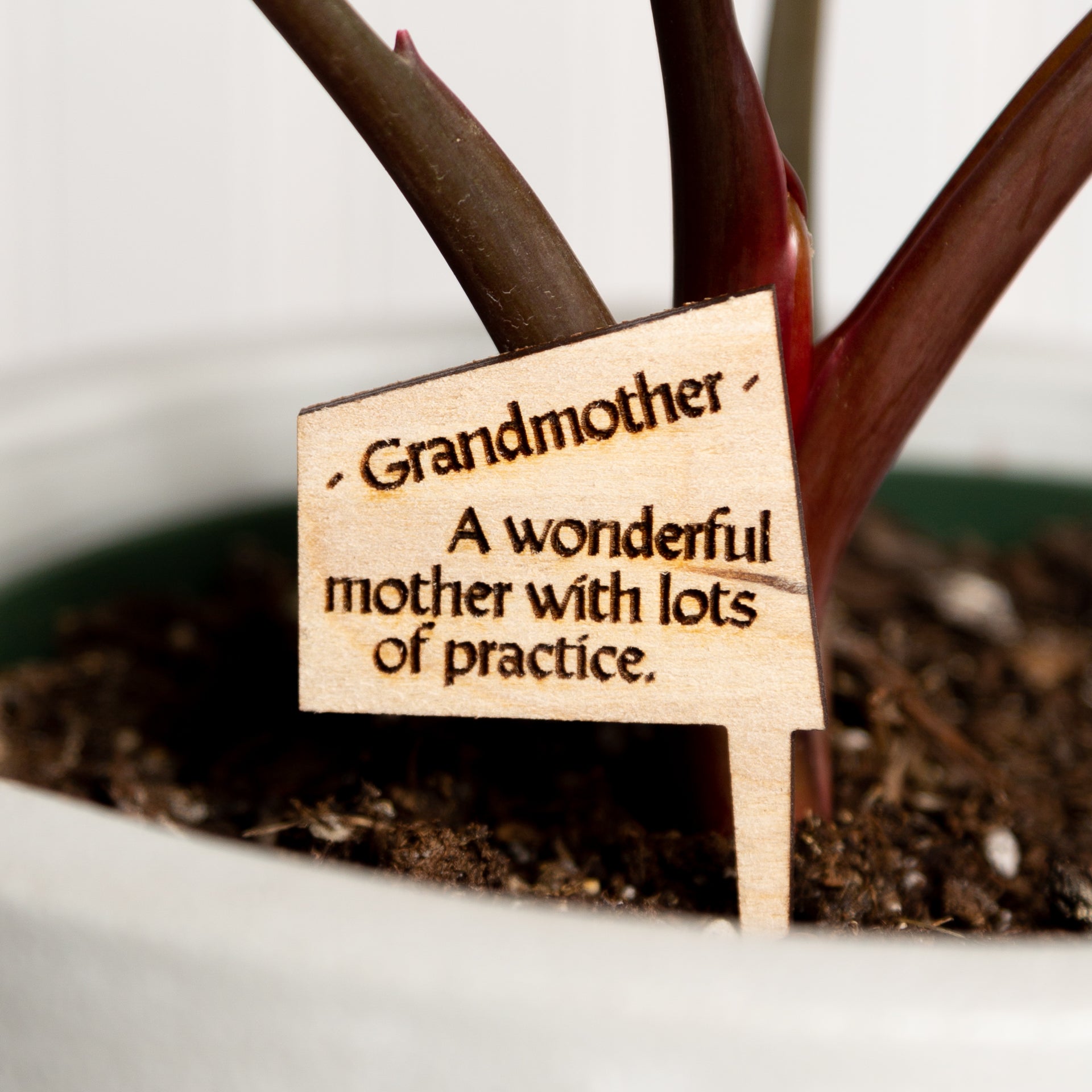 Mini Sign - Grandmother - Urban Sprouts