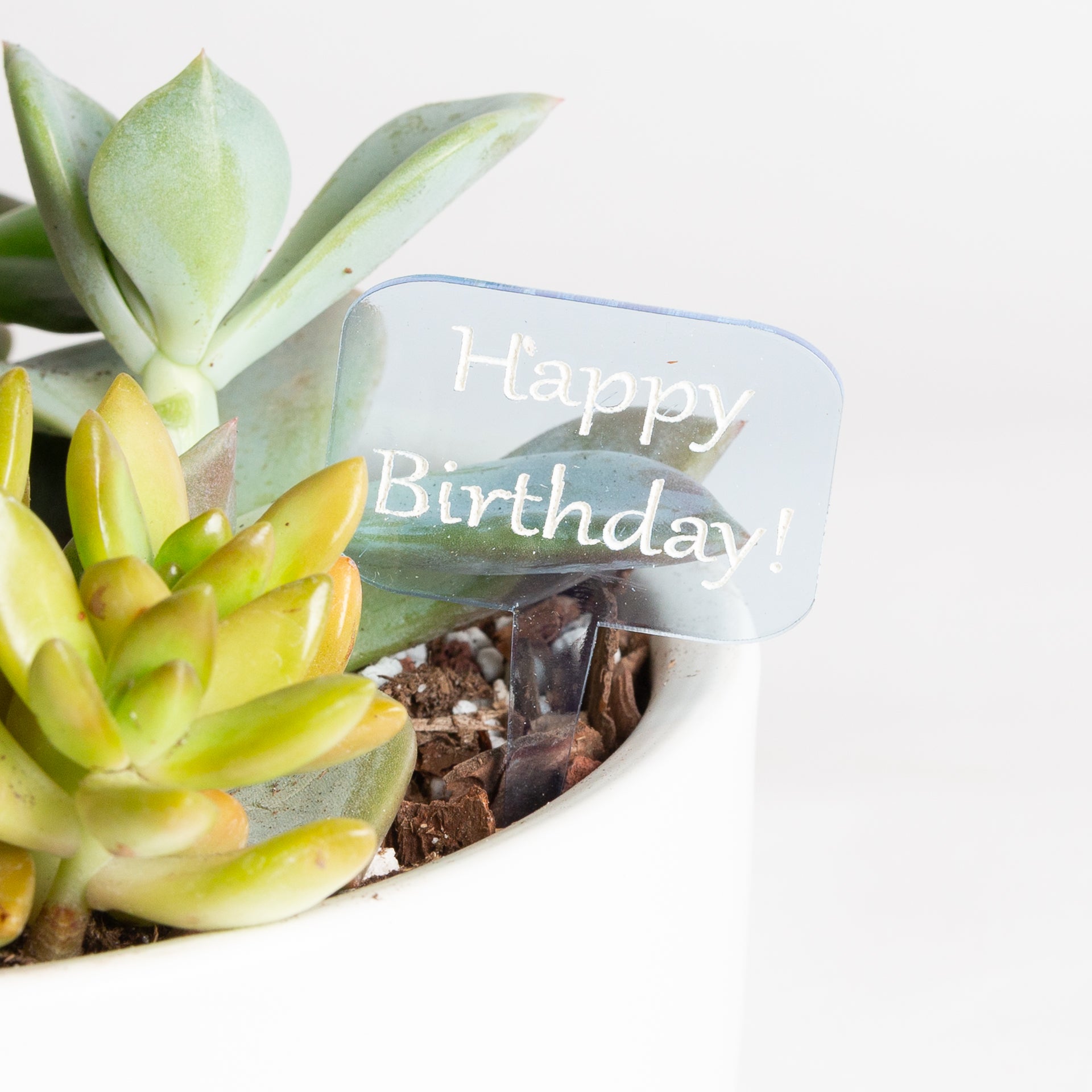Mini Sign - Happy Birthday - Blue - Urban Sprouts