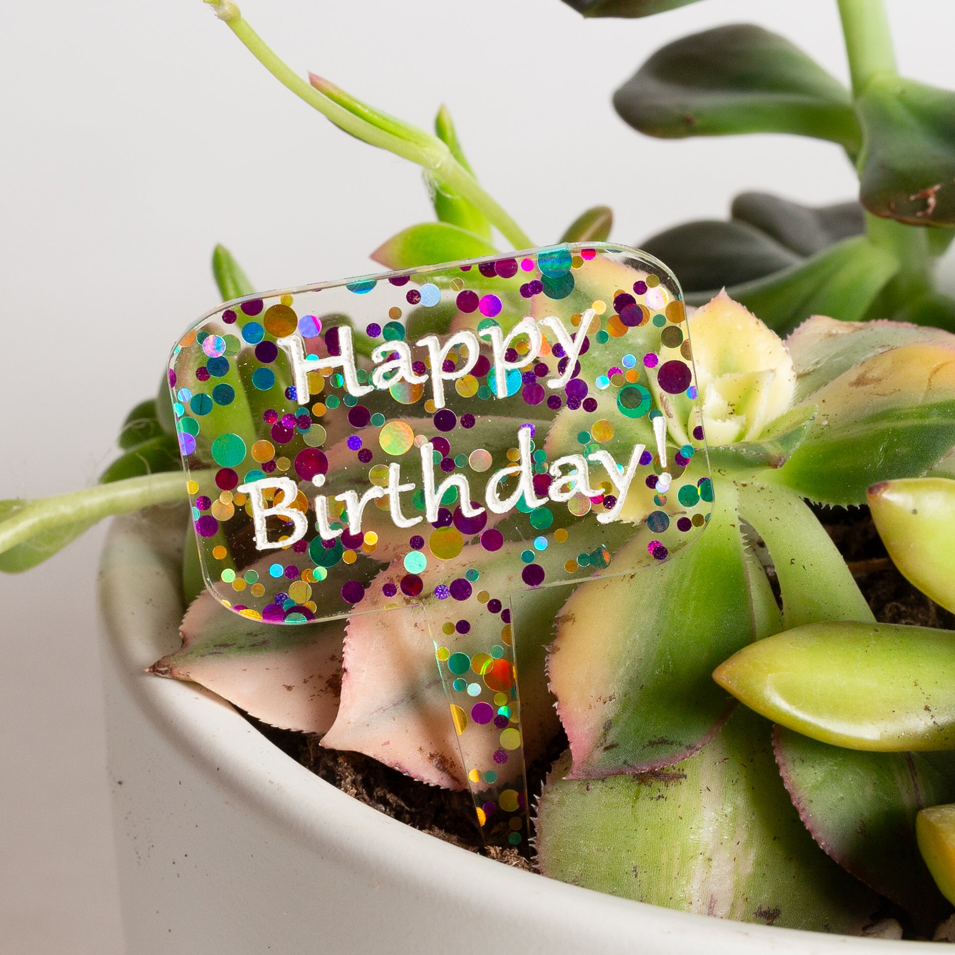 Mini Sign - Happy Birthday - Confetti - Urban Sprouts