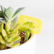 Mini Sign - Happy Birthday - Yellow - Urban Sprouts