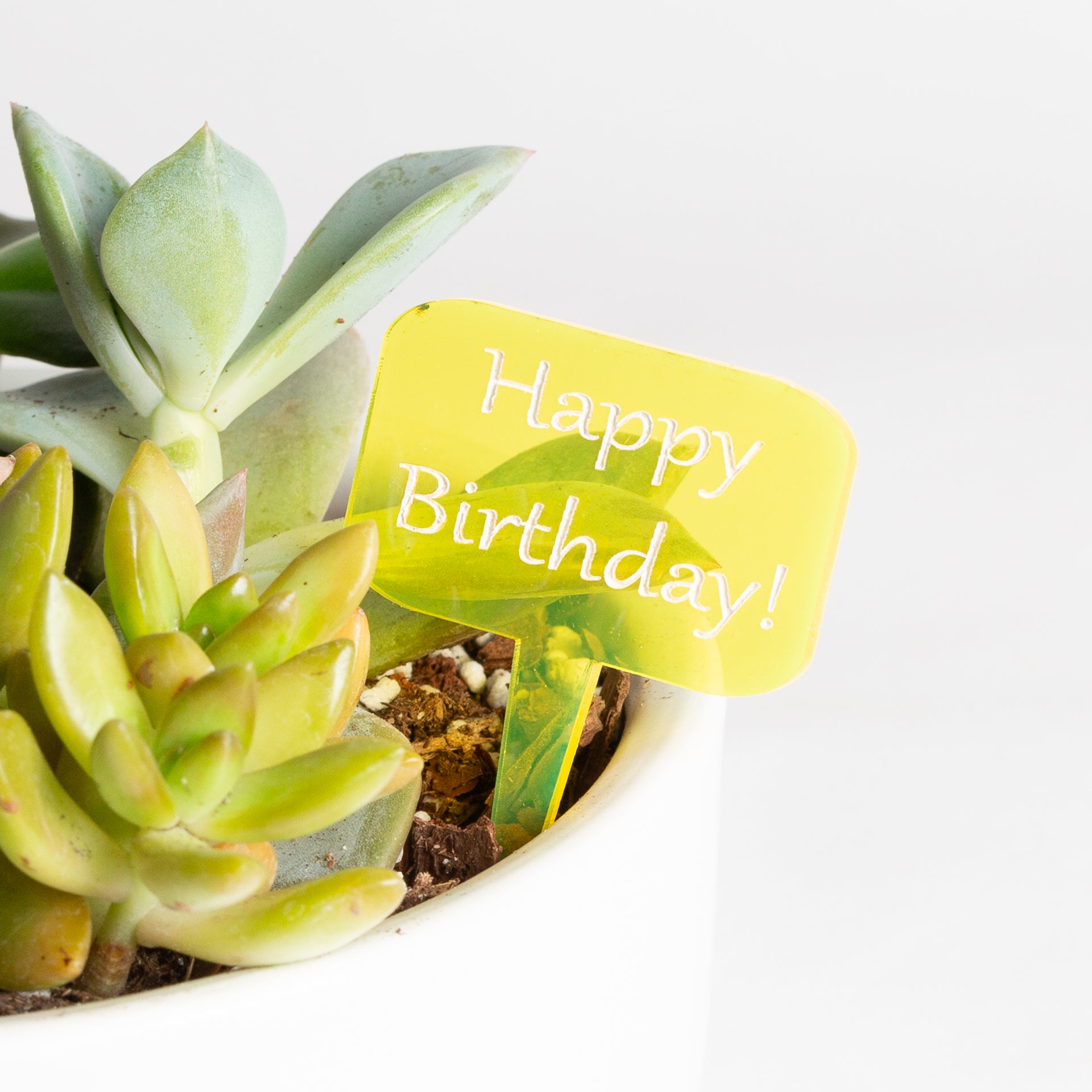 Mini Sign - Happy Birthday - Yellow - Urban Sprouts