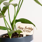 Mini Sign - Happy Birthday to you! - Urban Sprouts