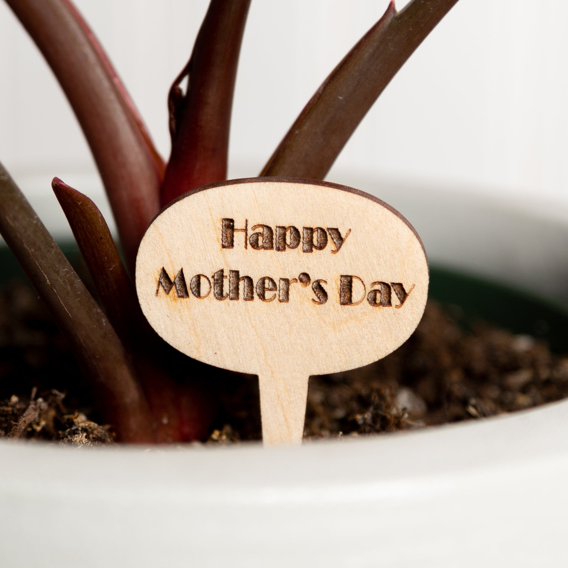 Mini Sign - Happy Mother's Day - Urban Sprouts