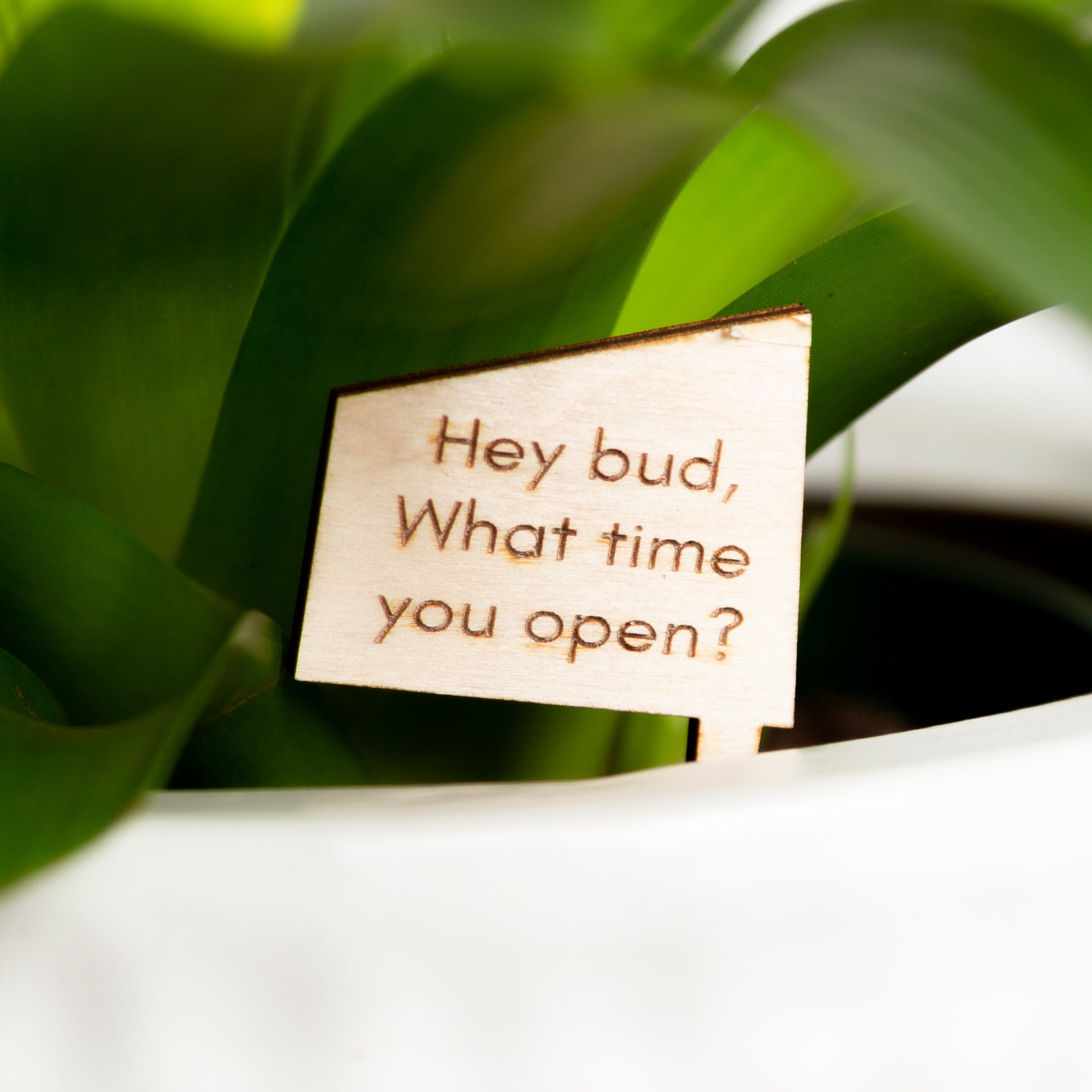 Mini Sign - Hey bud, what time you open? - Urban Sprouts