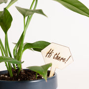 Mini Sign - Hi There! - Urban Sprouts