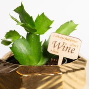 Mini Sign - I Always Feel Better After I Wine A Little