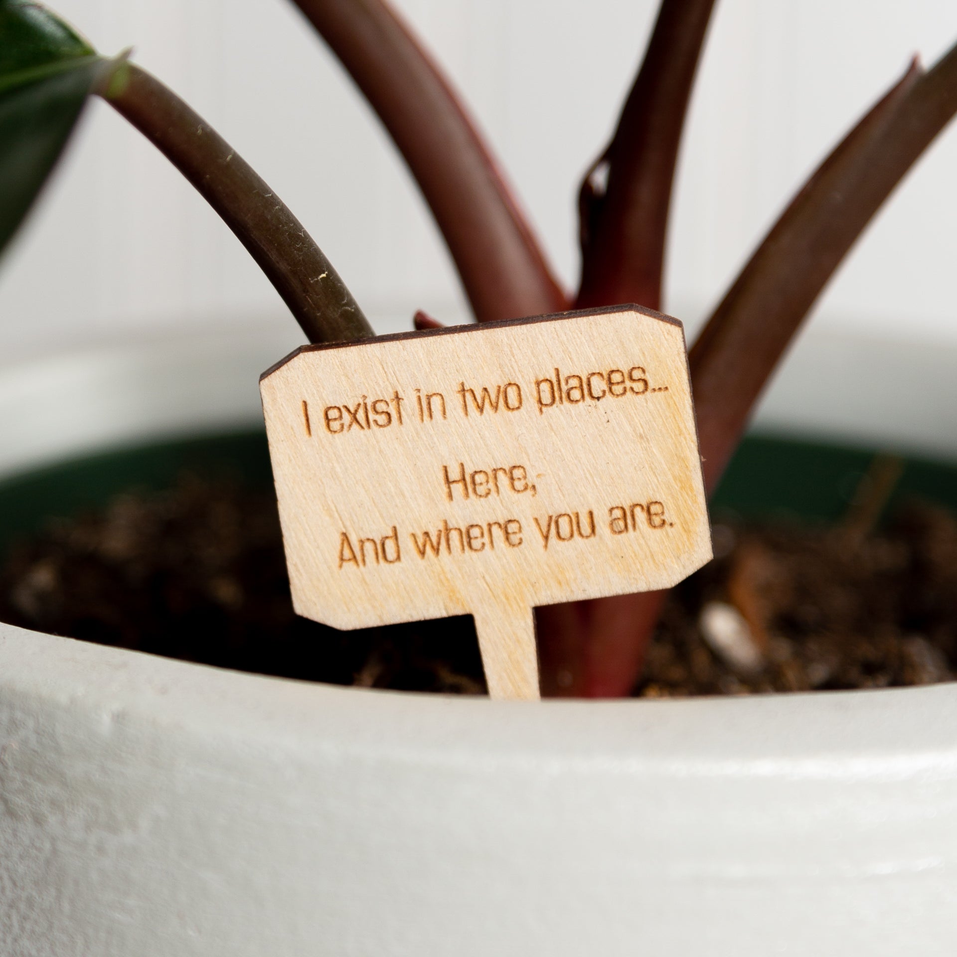 Mini Sign - I Exist in Two Places - Urban Sprouts