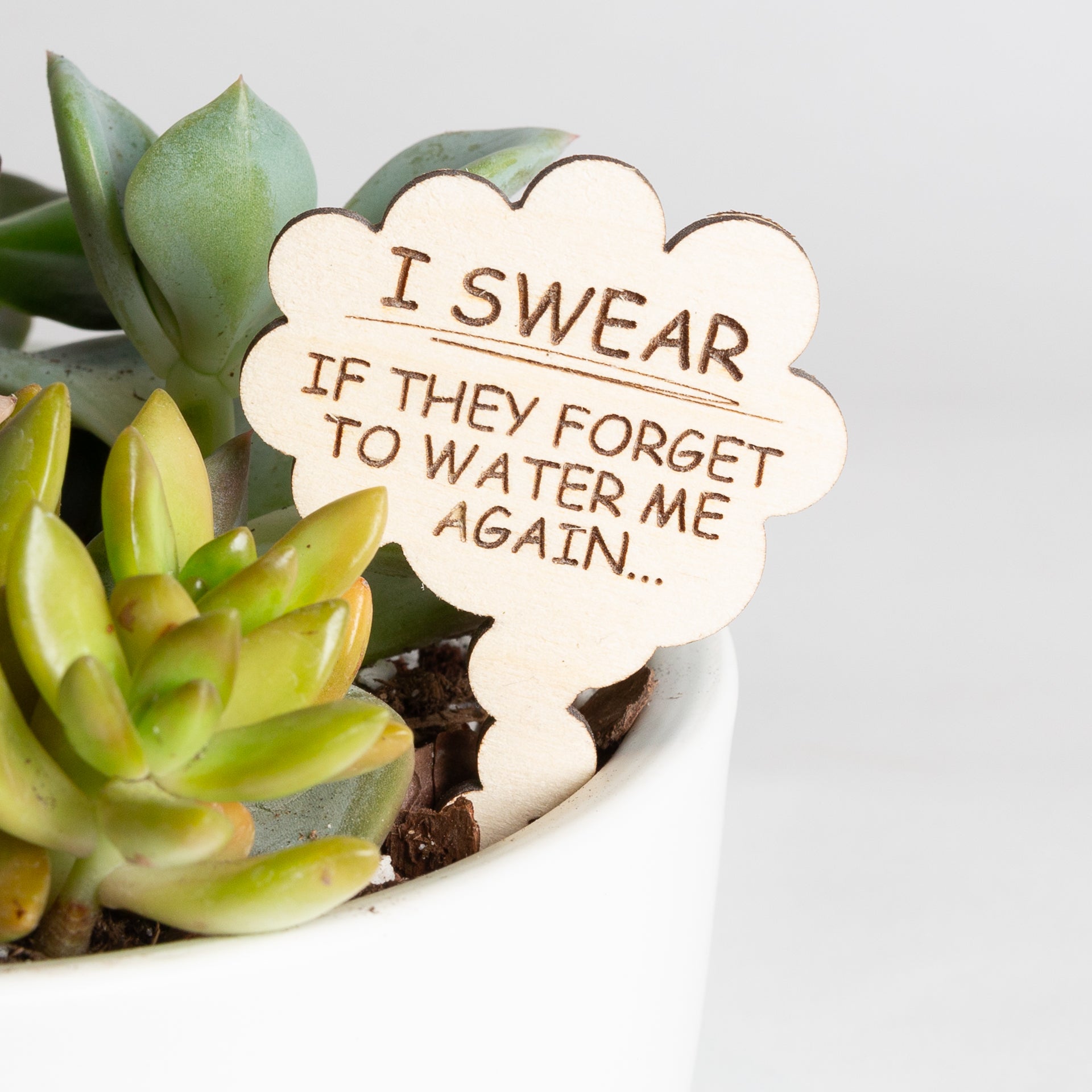 Mini Sign - I Swear If They Forget To Water Me Again - Urban Sprouts