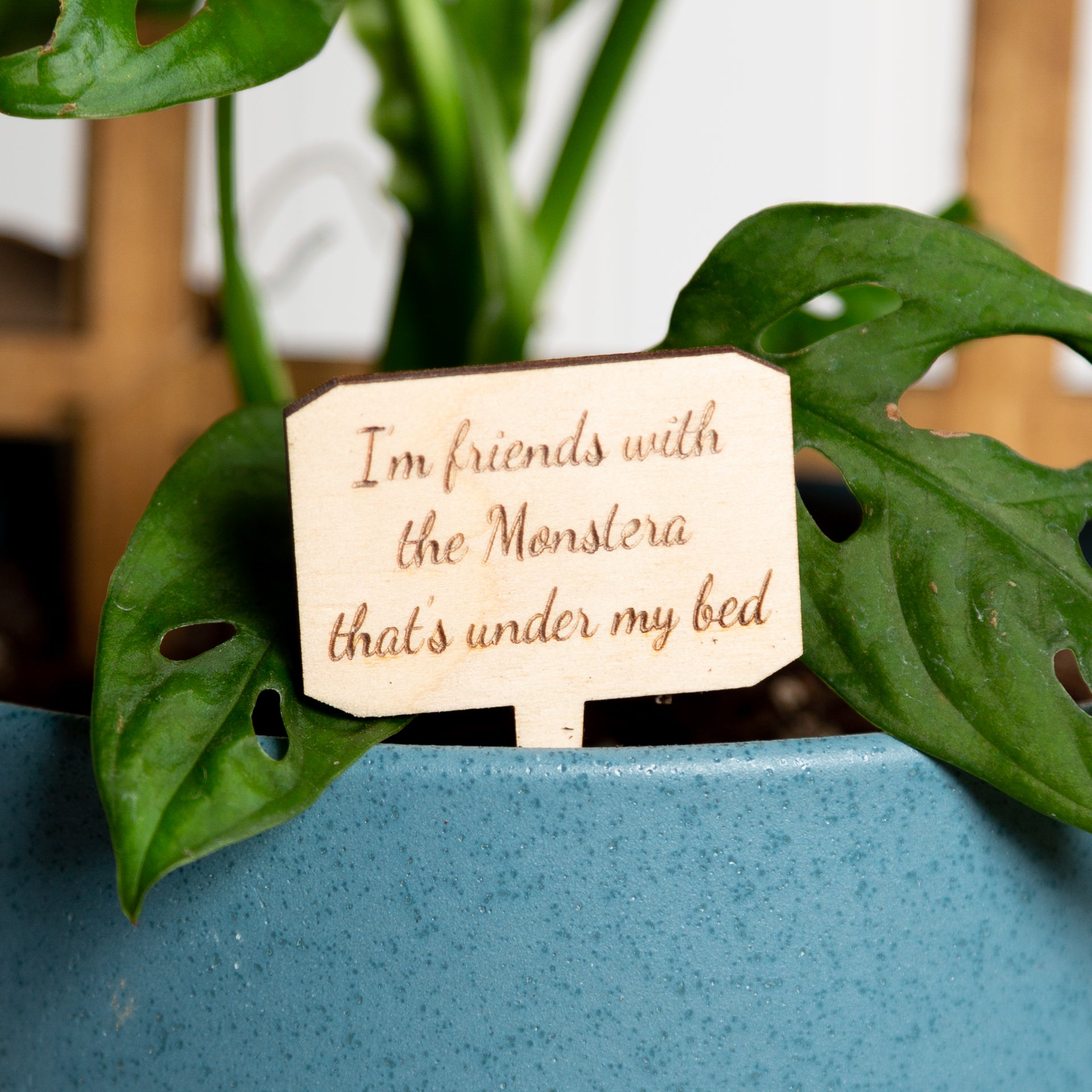 Mini Sign - I'm friends with the Monstera under my bed - Urban Sprouts
