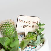 Mini Sign - I'm sexy and I grow it - Urban Sprouts