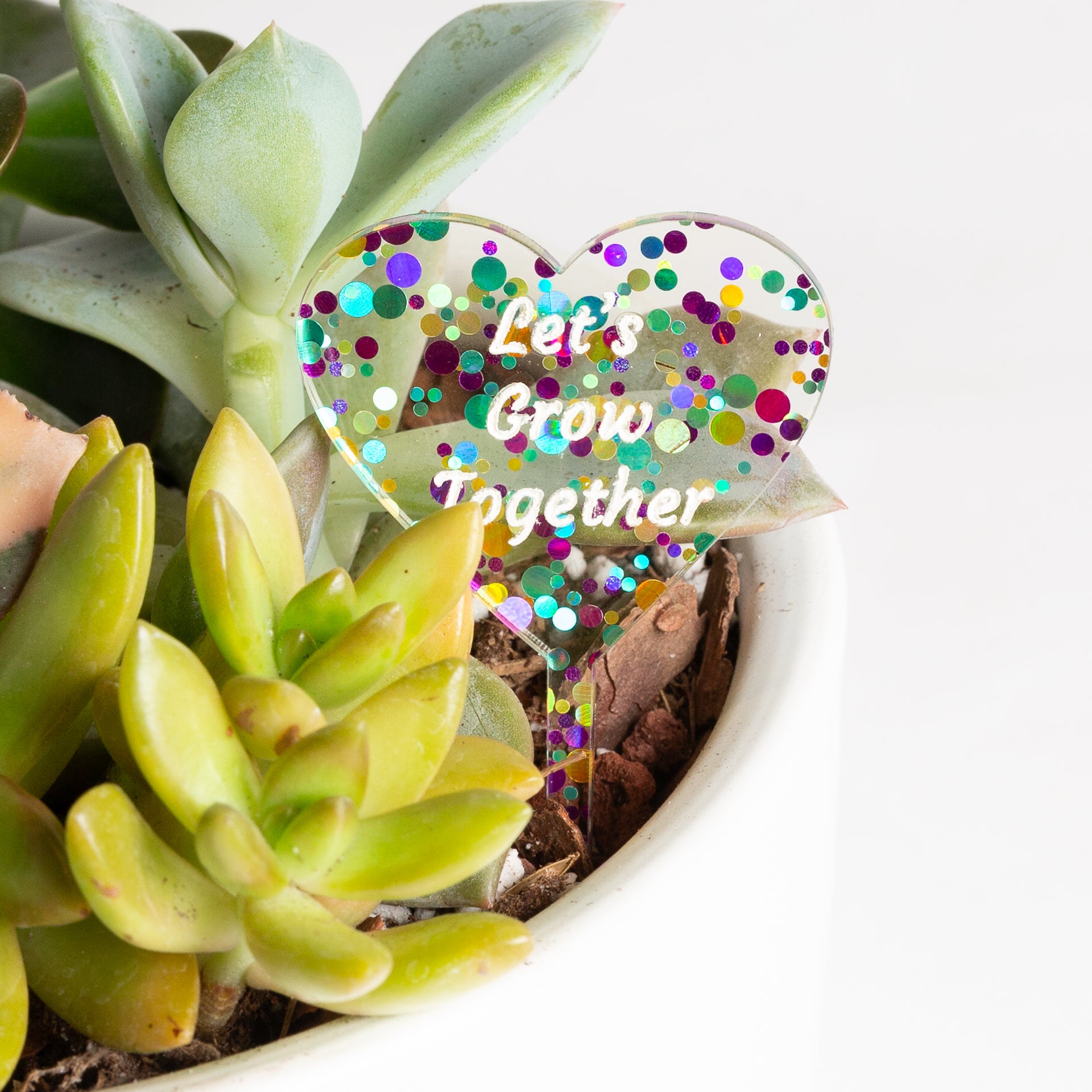 Mini Sign - Let's Grow Together - Confetti - Urban Sprouts