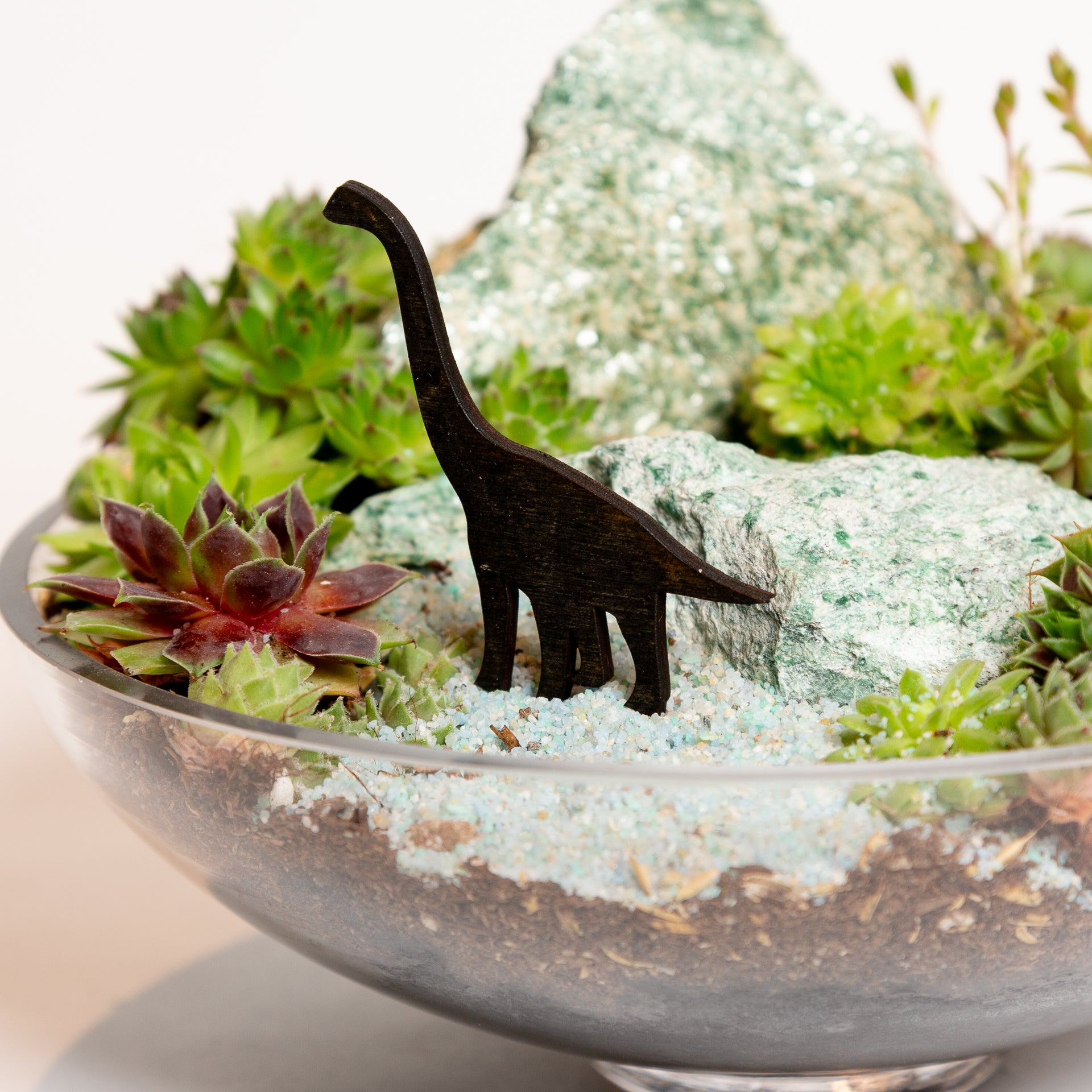 Mini Sign - Long Neck Dinosaur - Urban Sprouts