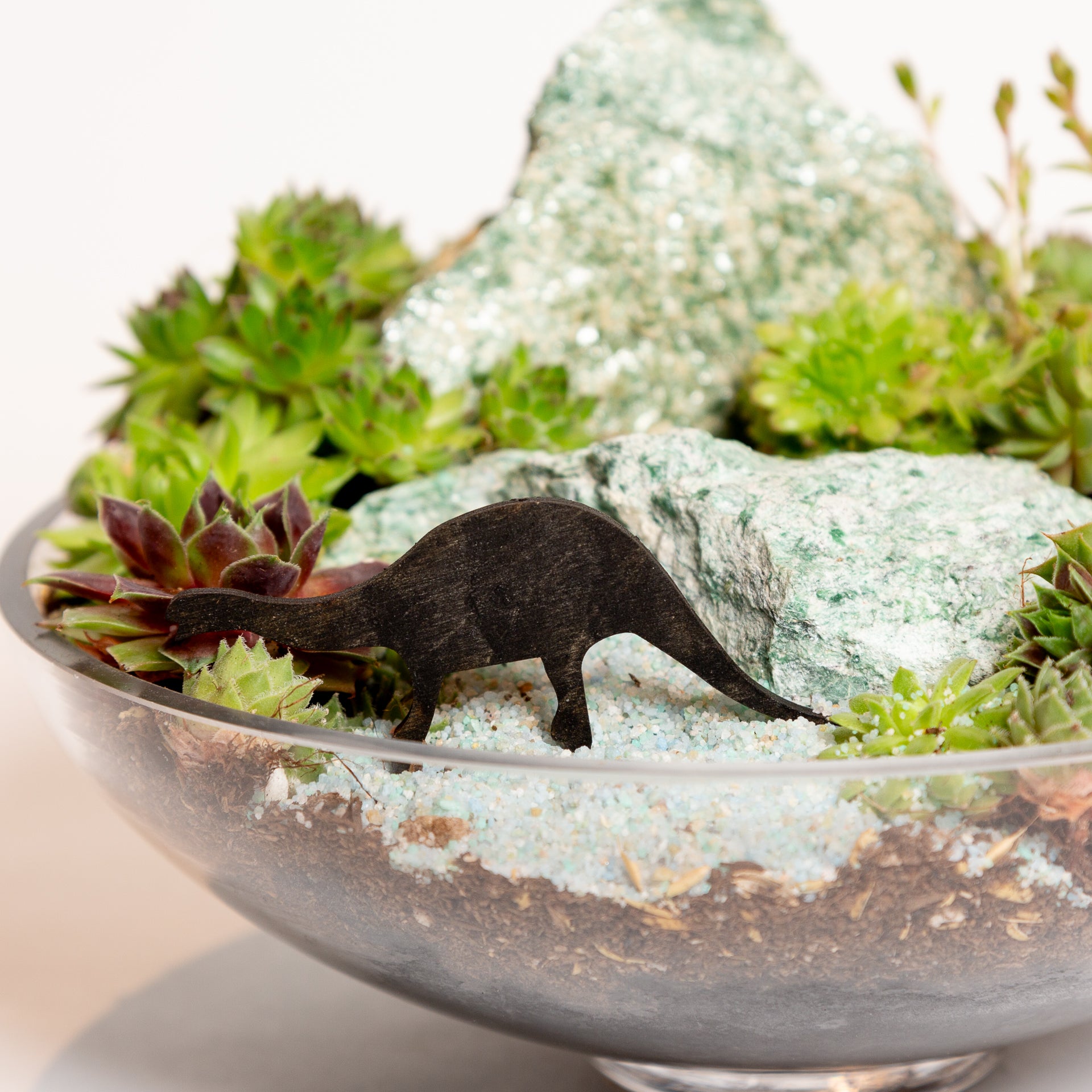 Mini Sign - Long Neck Dinosaur Horizontal - Urban Sprouts