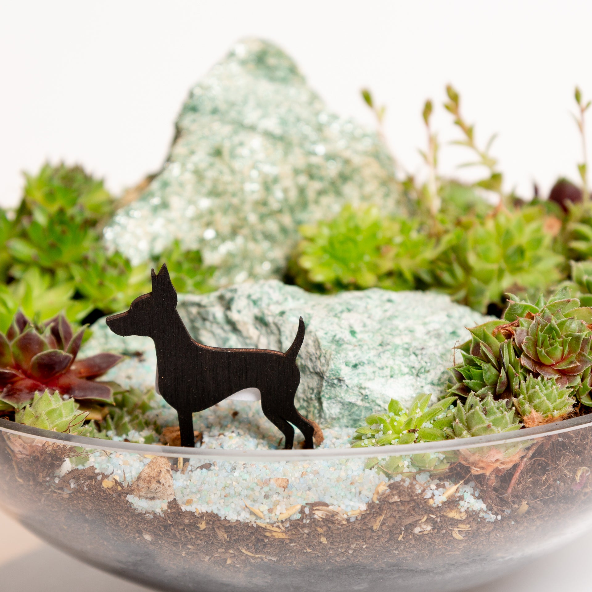 Mini Sign - Mini Pinscher - Urban Sprouts