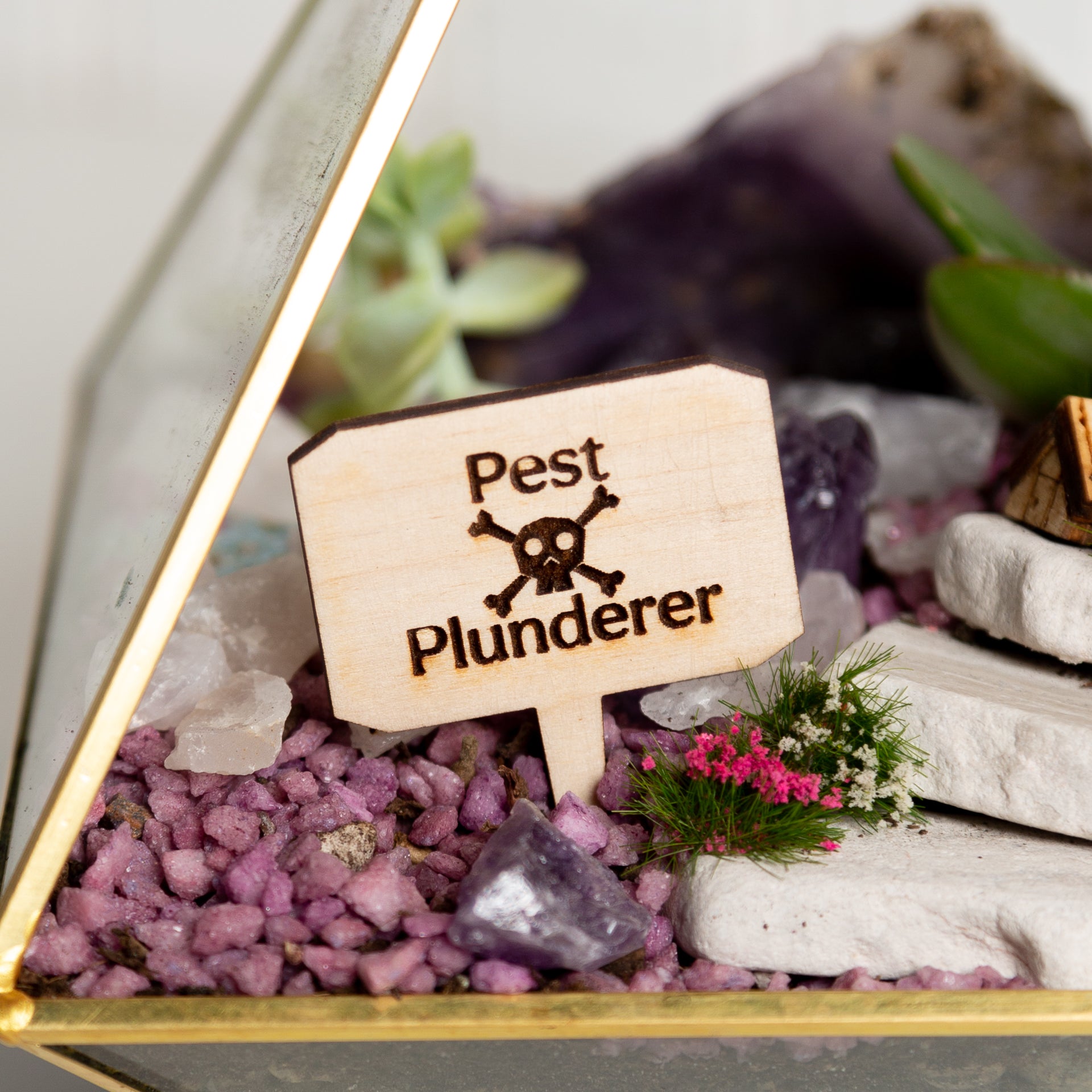 Mini Sign -Pest Plunderer - Urban Sprouts