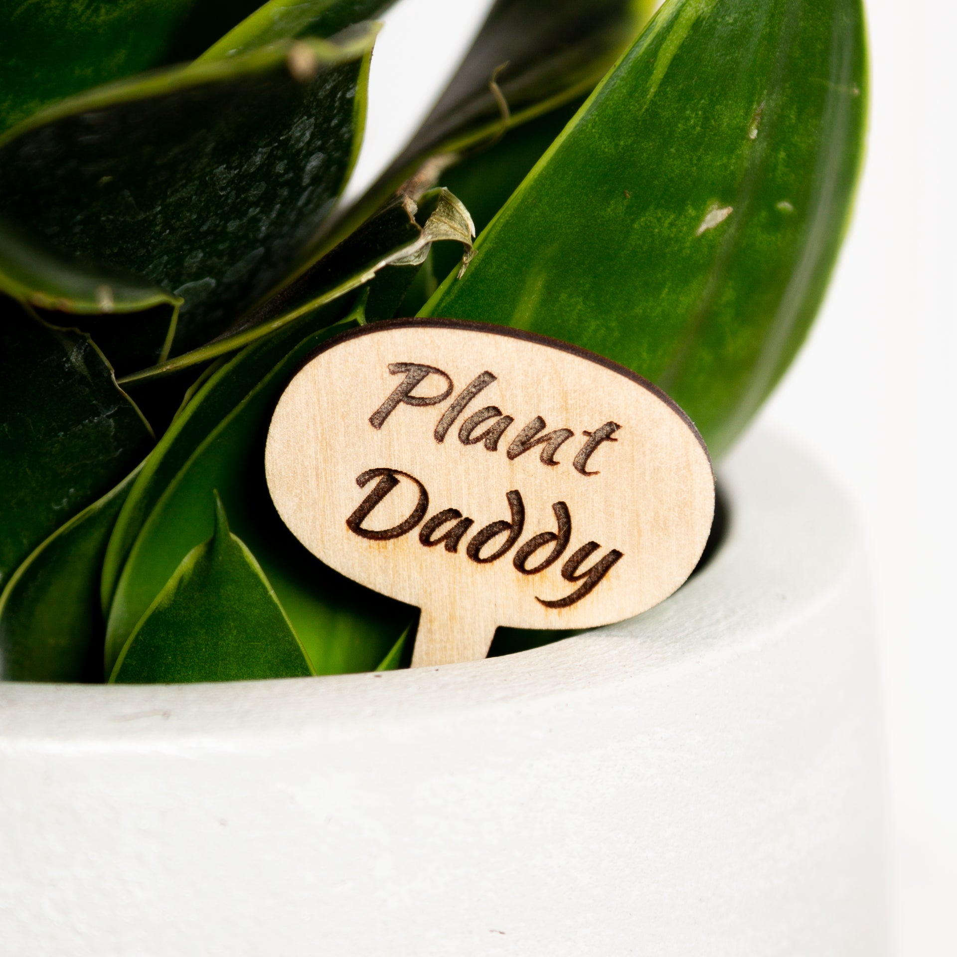 Mini Sign - Plant Daddy - Urban Sprouts