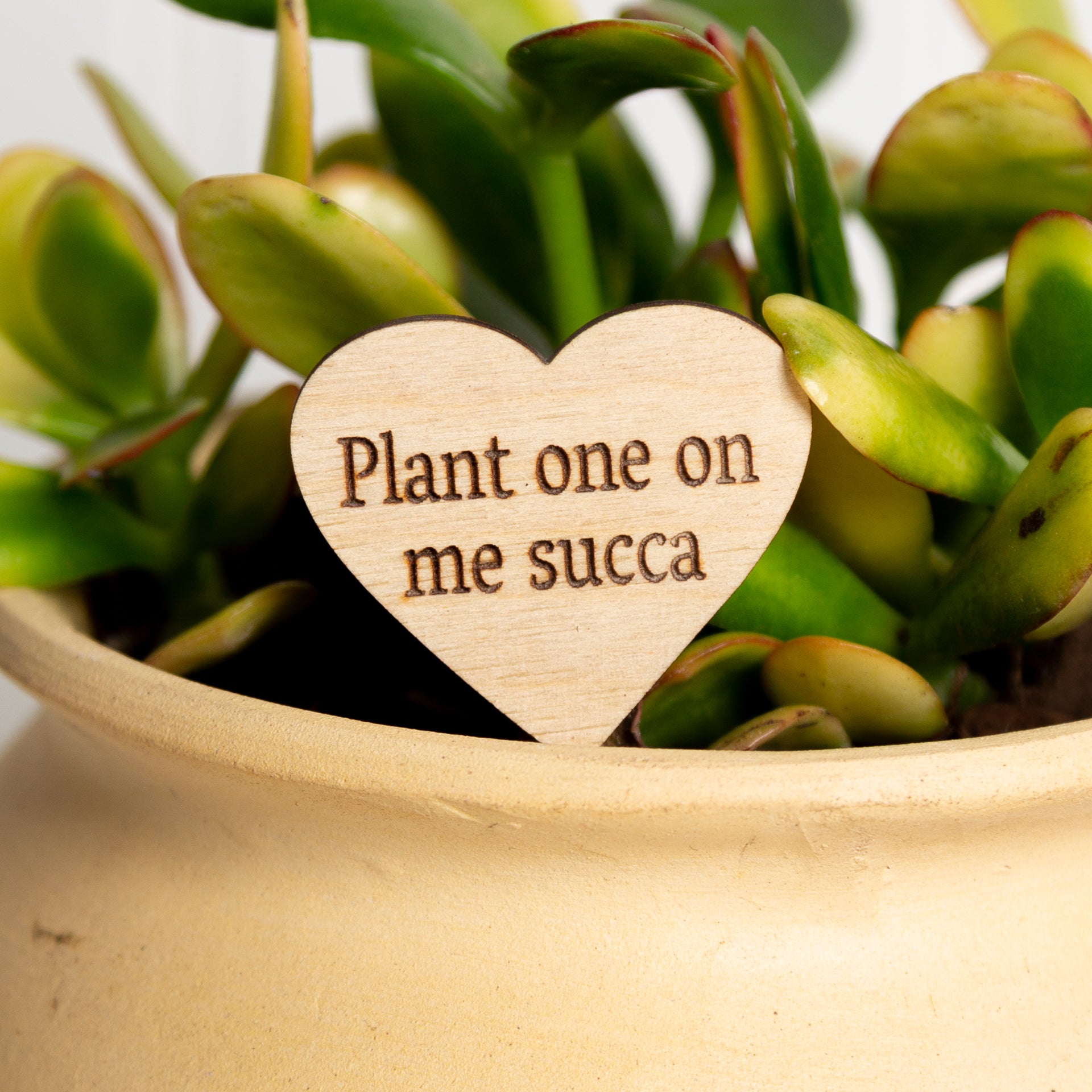Mini Sign - Plant One on Me Succa - Urban Sprouts