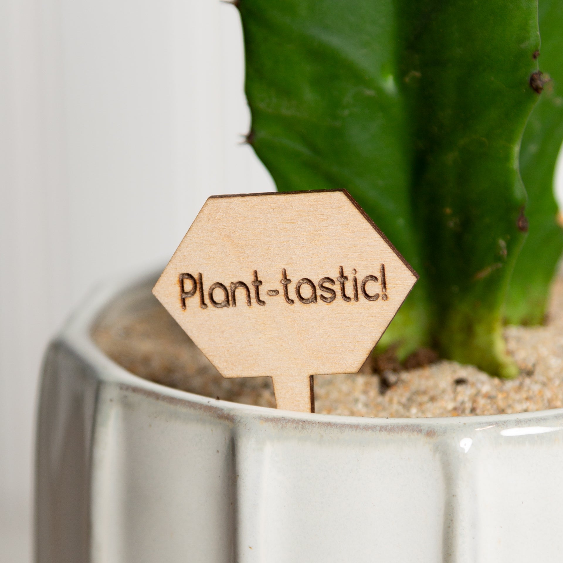 Mini Sign - Plant-tastic! - Urban Sprouts