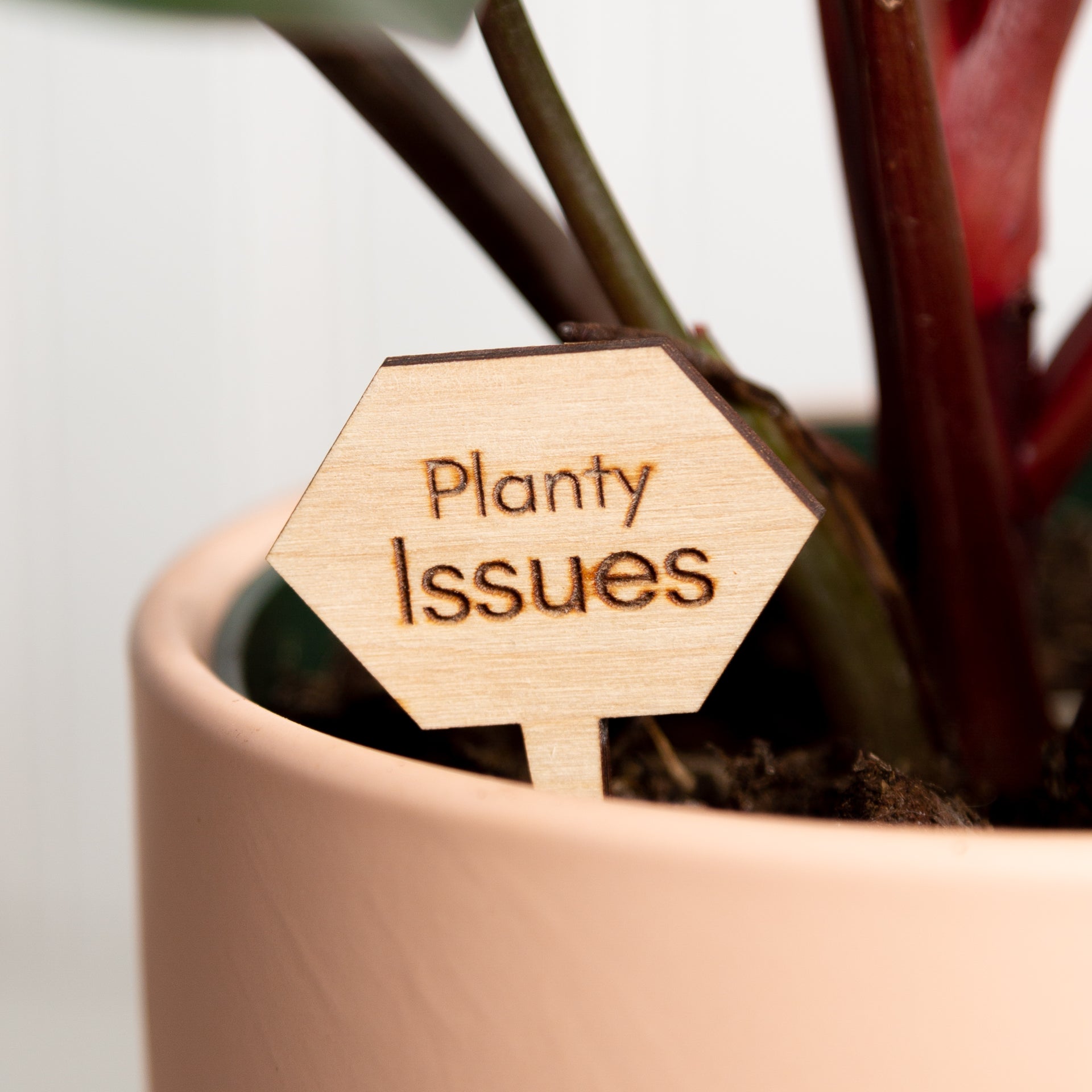 Mini Sign - Planty Issues - Urban Sprouts