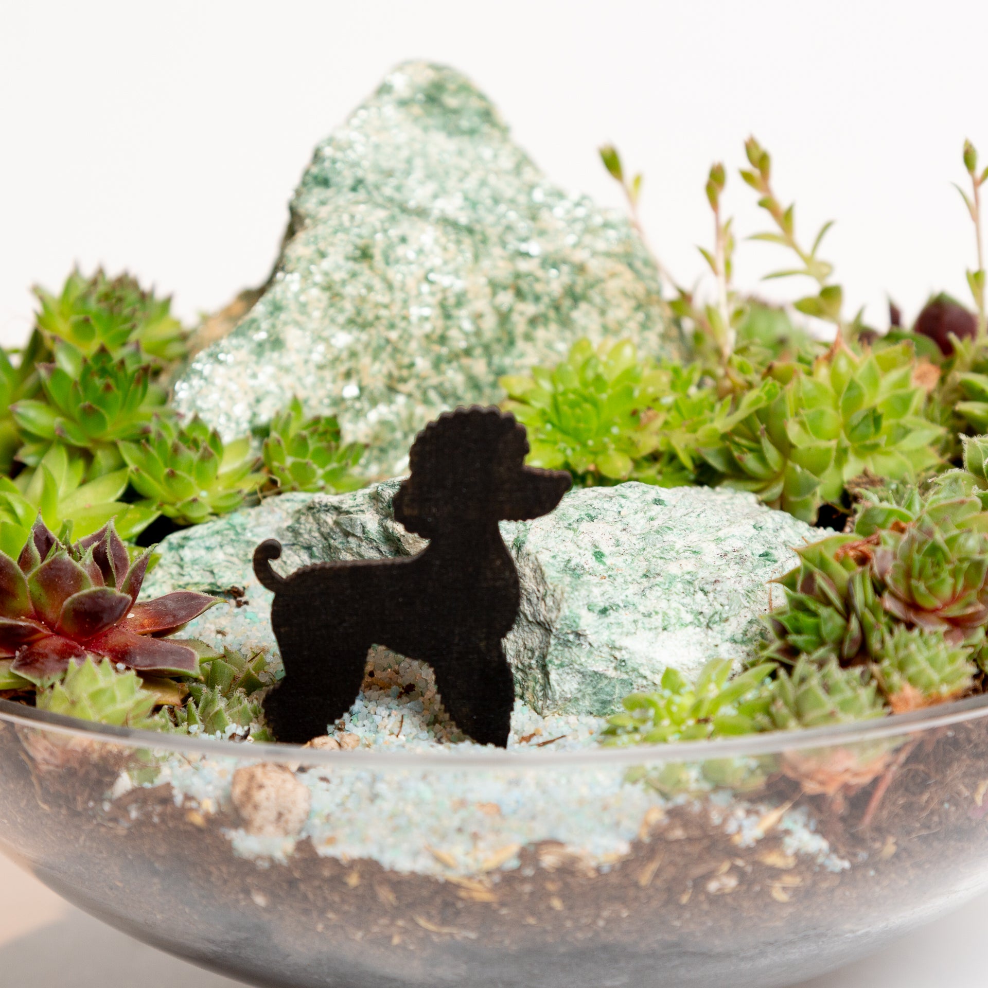 Mini Sign - poodle - Urban Sprouts