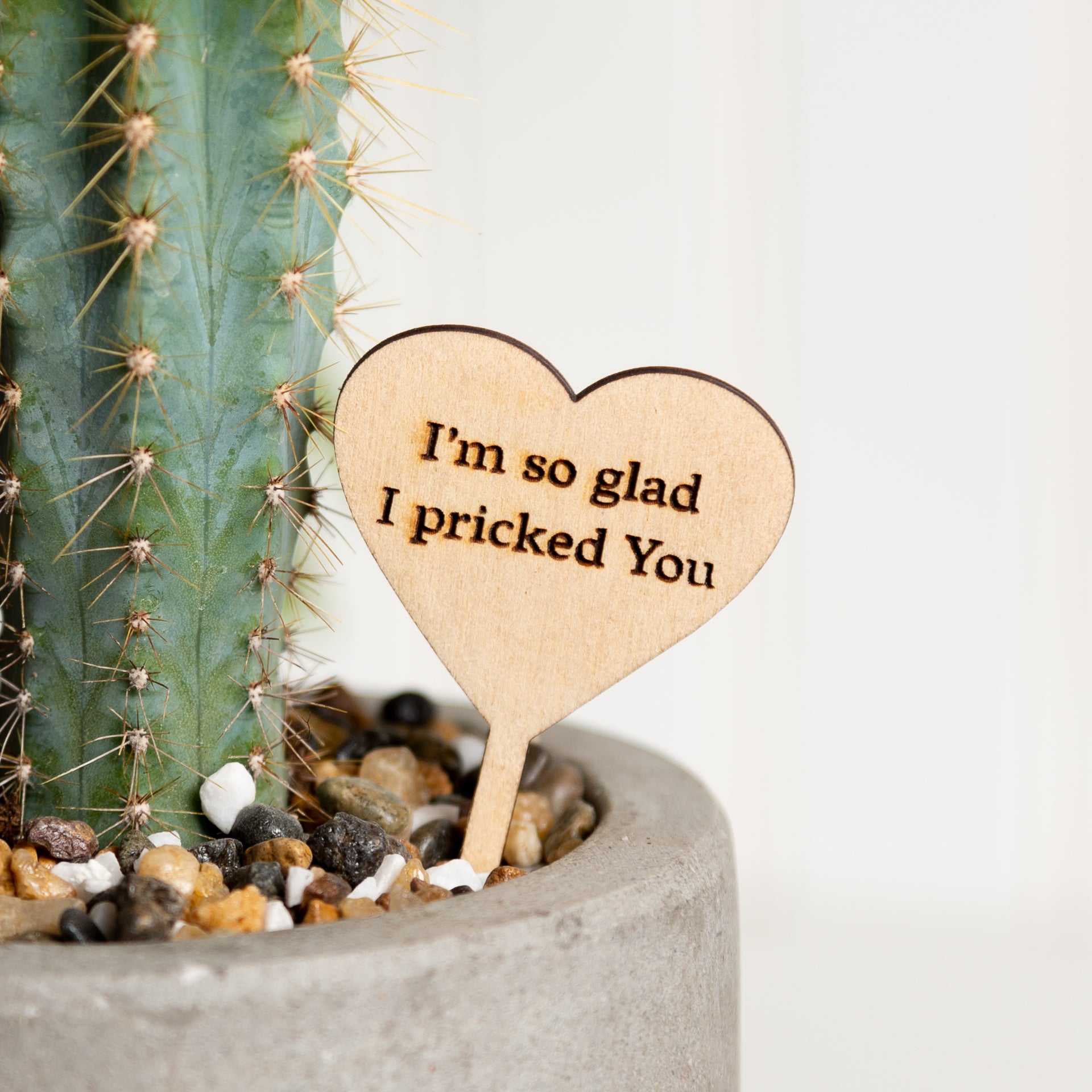 Mini Sign - So Glad I pricked You - Urban Sprouts