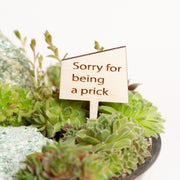 Mini Sign - Sorry for being a prick - Urban Sprouts