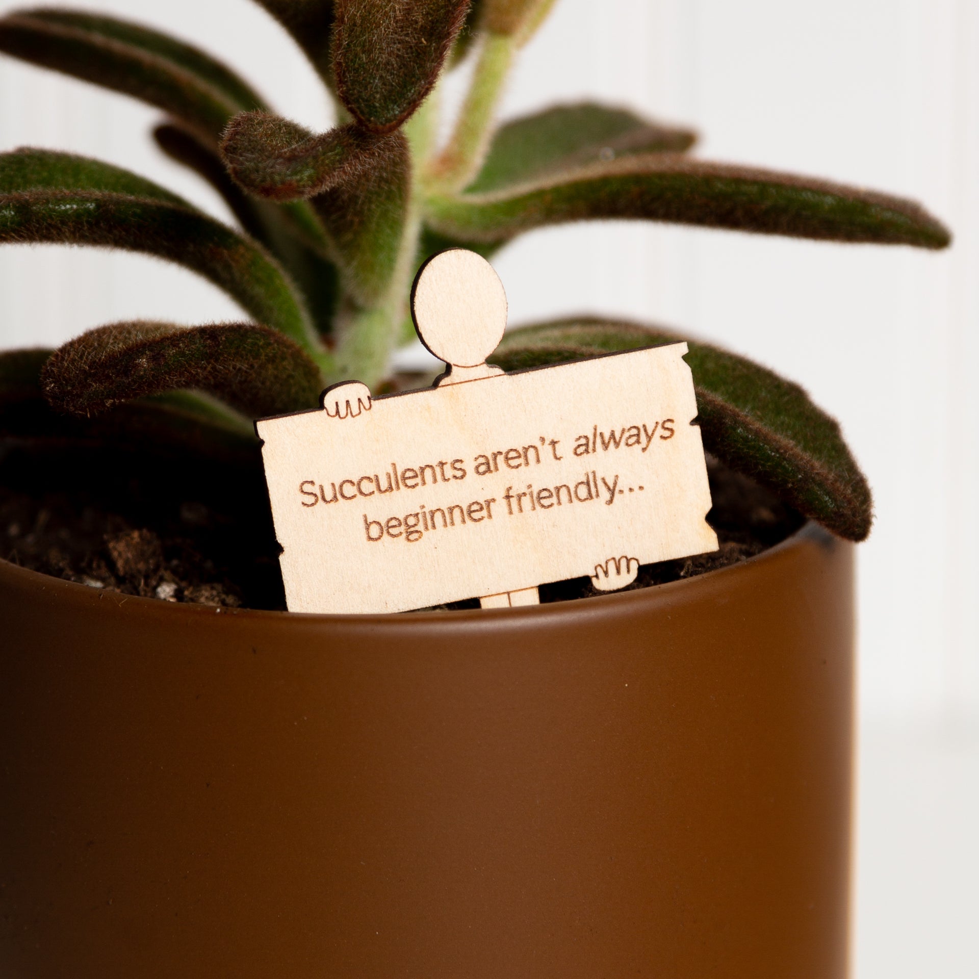 Mini Sign -Succulents Aren't Always Beginner Friendly - Urban Sprouts