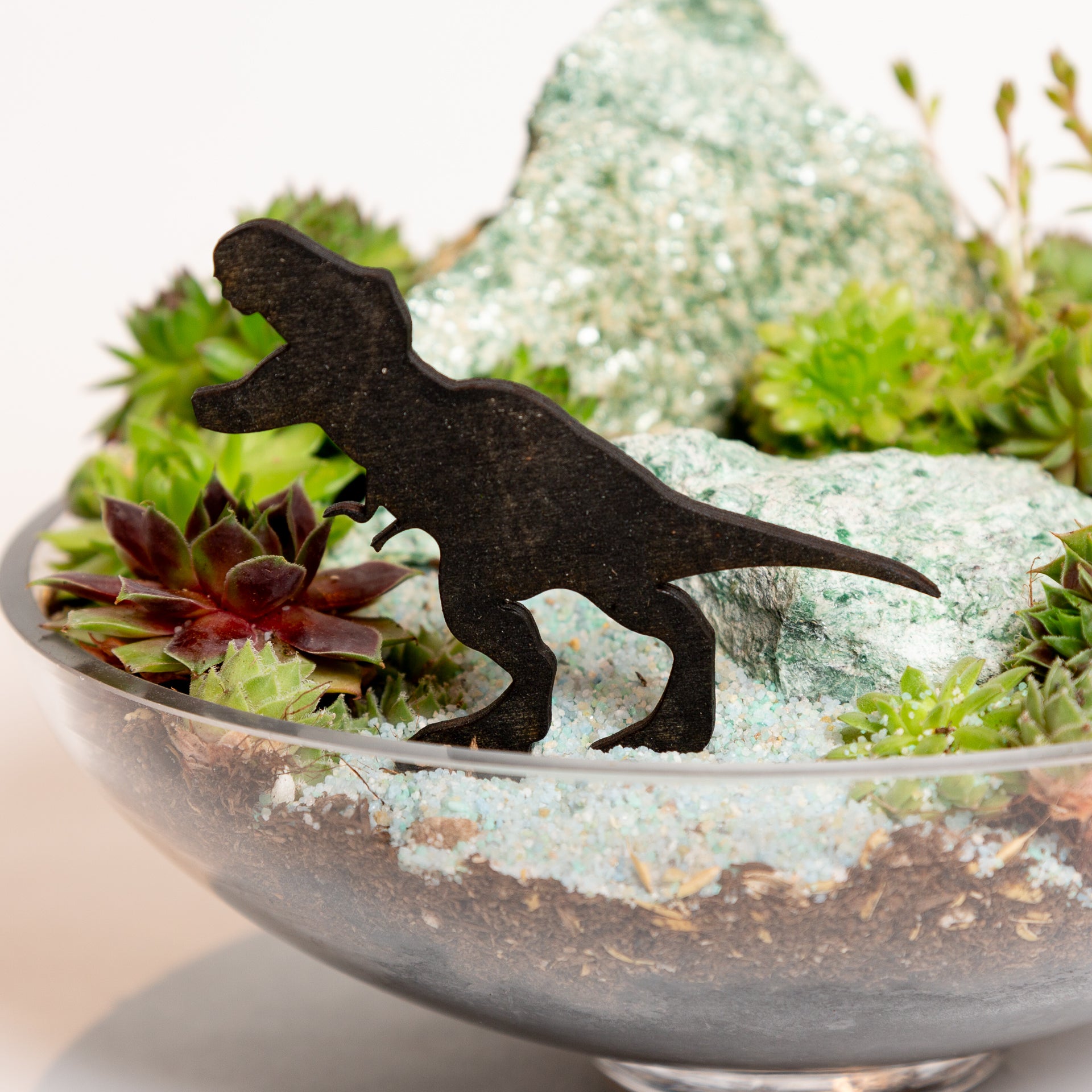 Mini Sign - Trex - Urban Sprouts