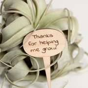 Mini Sign - Thanks for helping me grow - Urban Sprouts