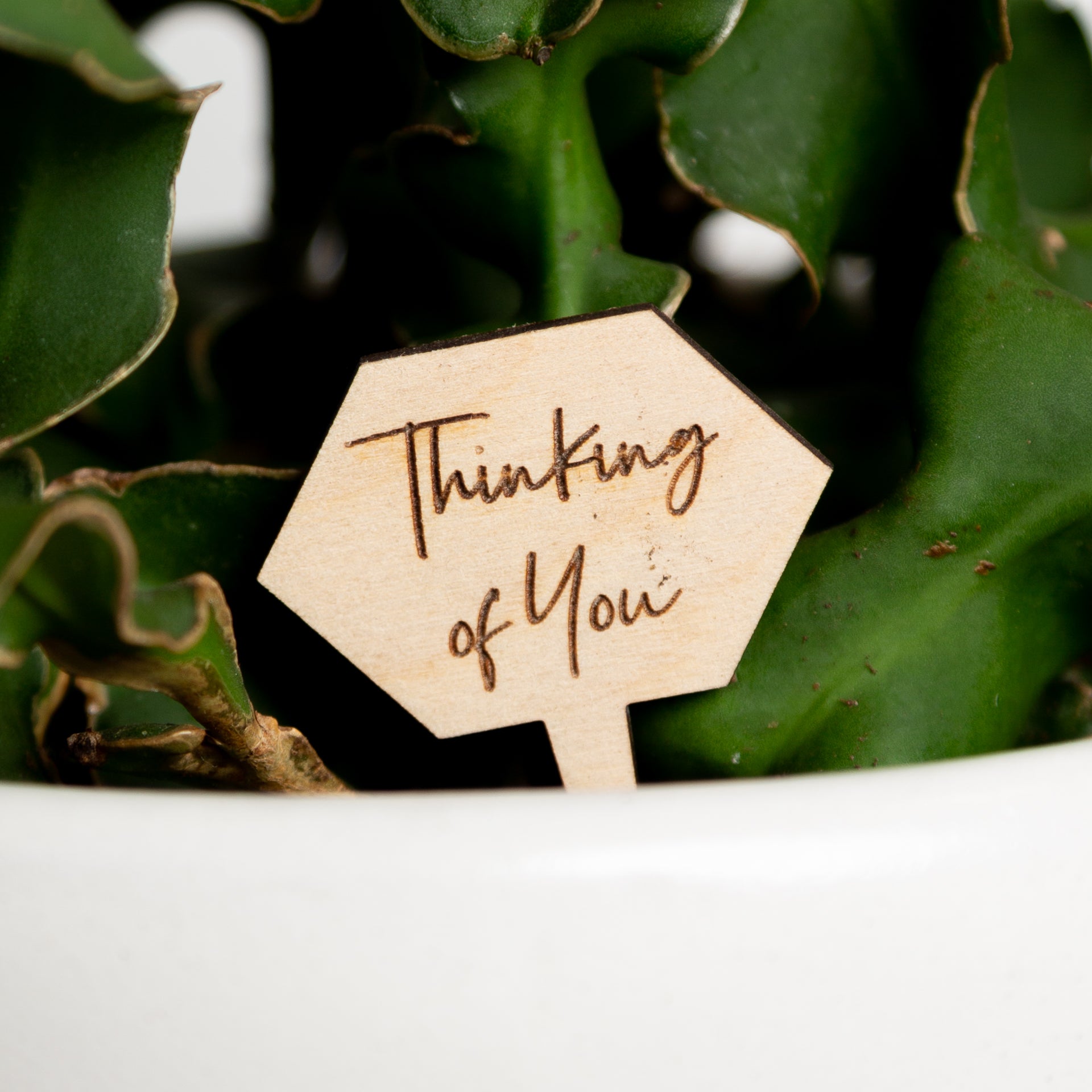 Mini Sign - Thinking of You - Urban Sprouts