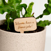 Mini Sign - Wanna hear a fernie joke? - Urban Sprouts